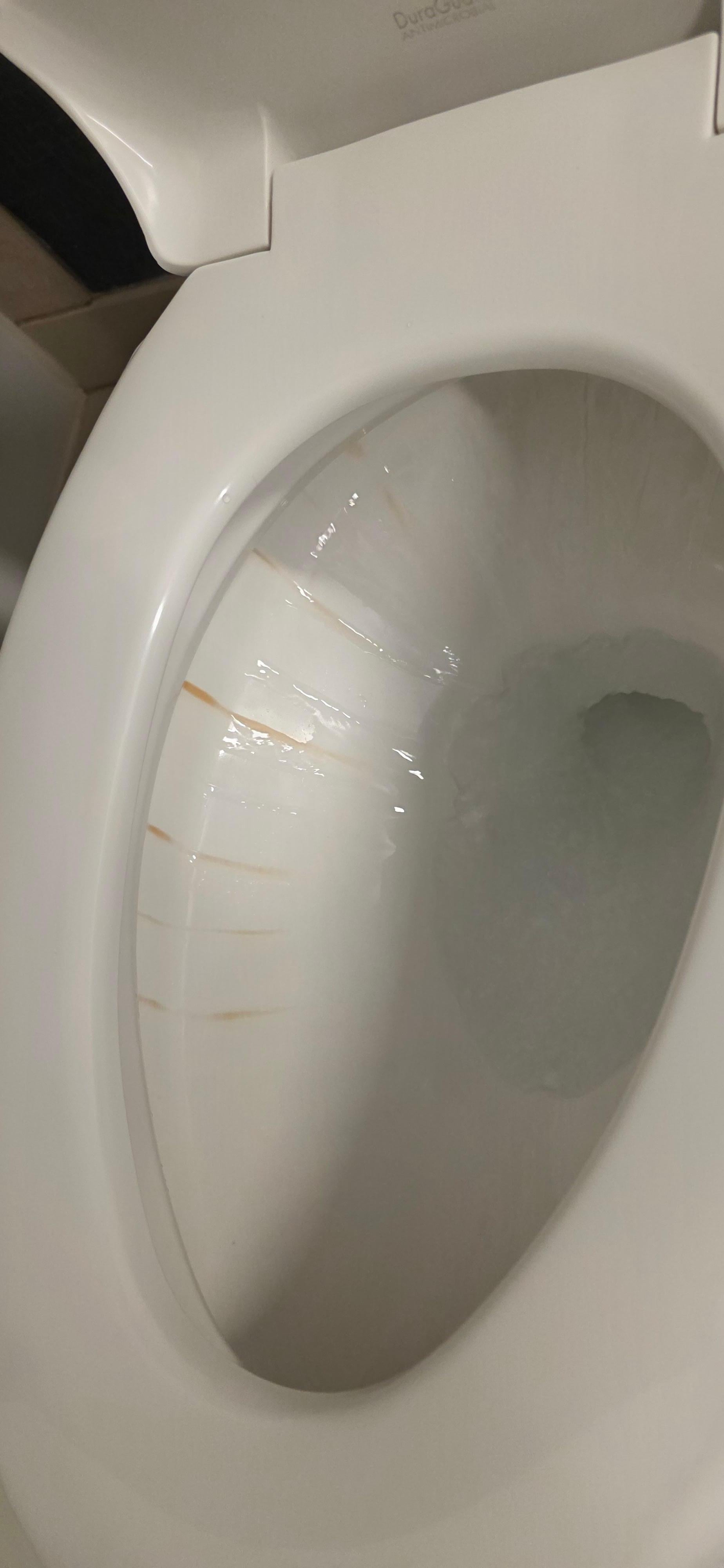 Permanent brown stains in toilet