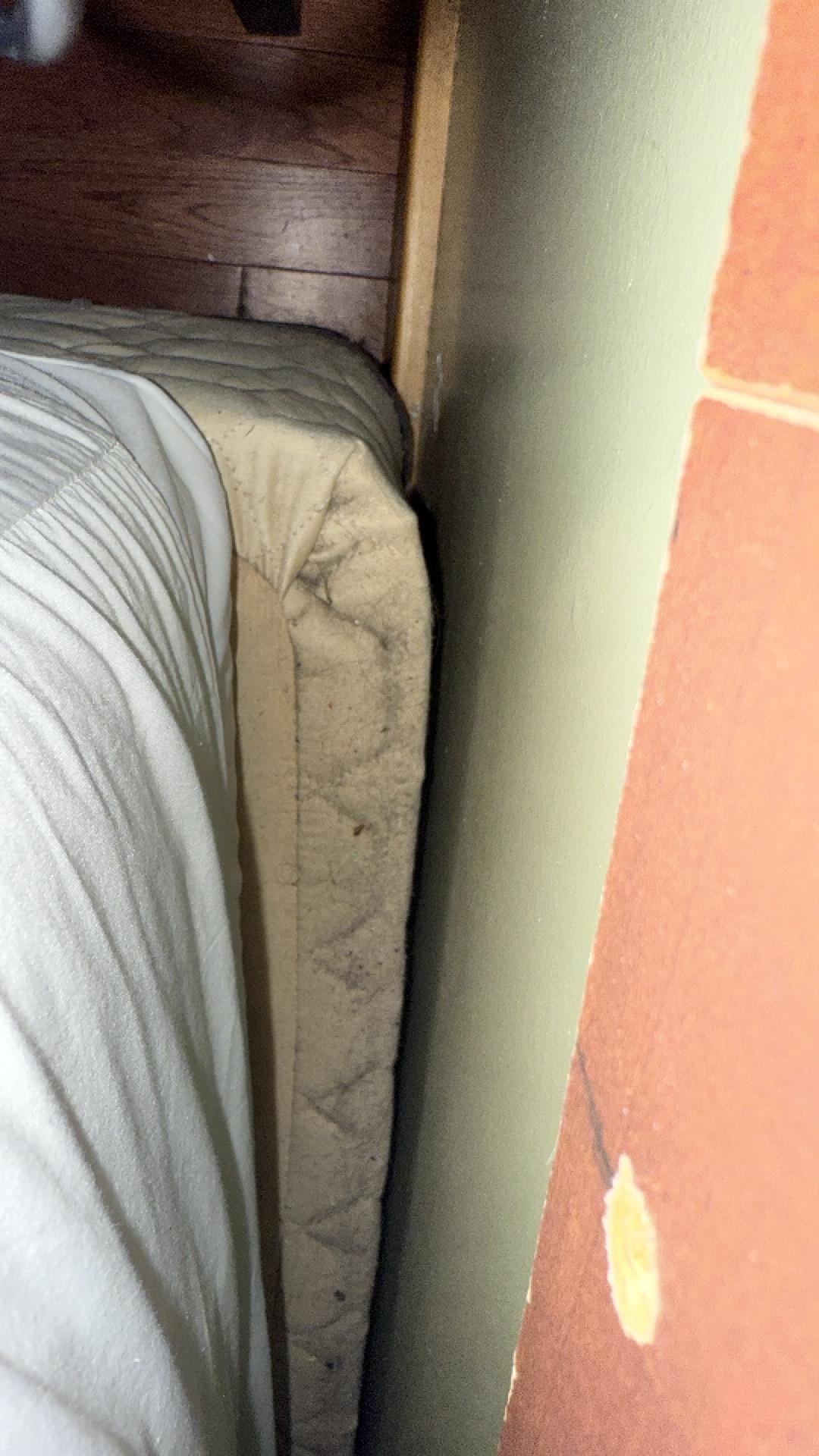 I had to move the mattress to reach my phone and was   Disgusted by the dirt on the box spring 