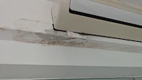Moule on ceiling