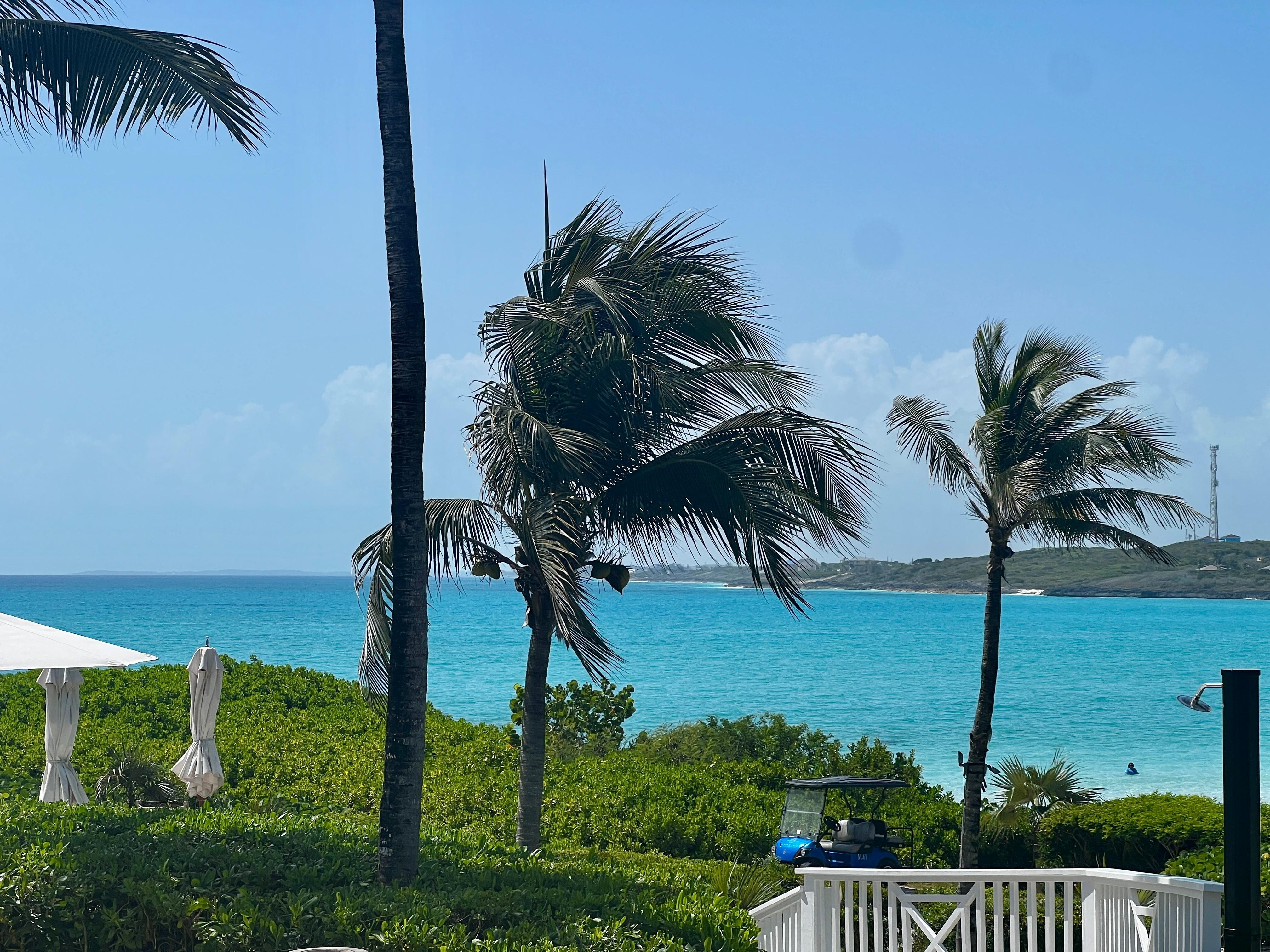 View from the pool