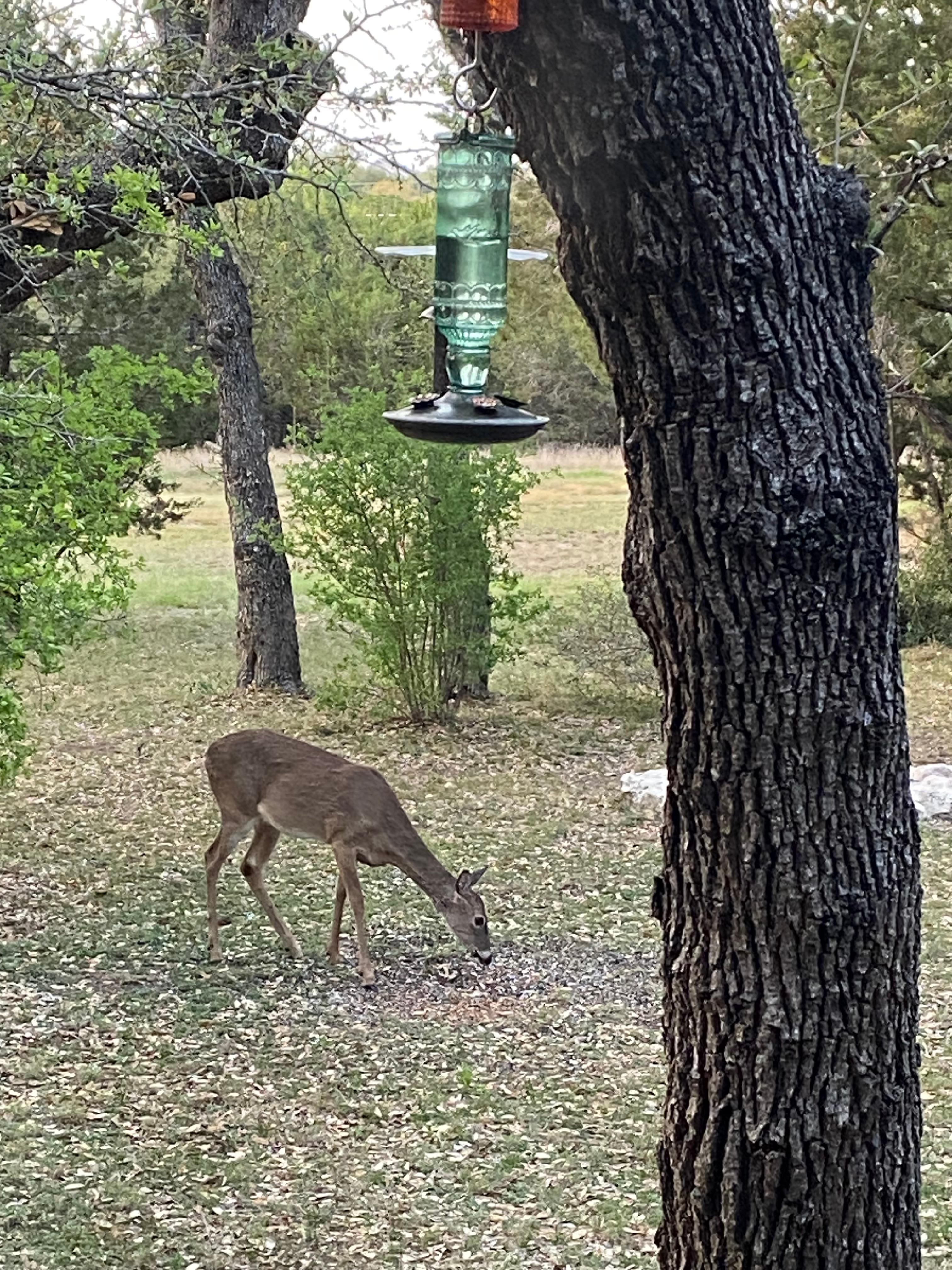 View from living room window