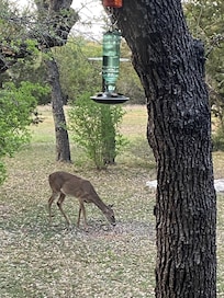 View from living room window