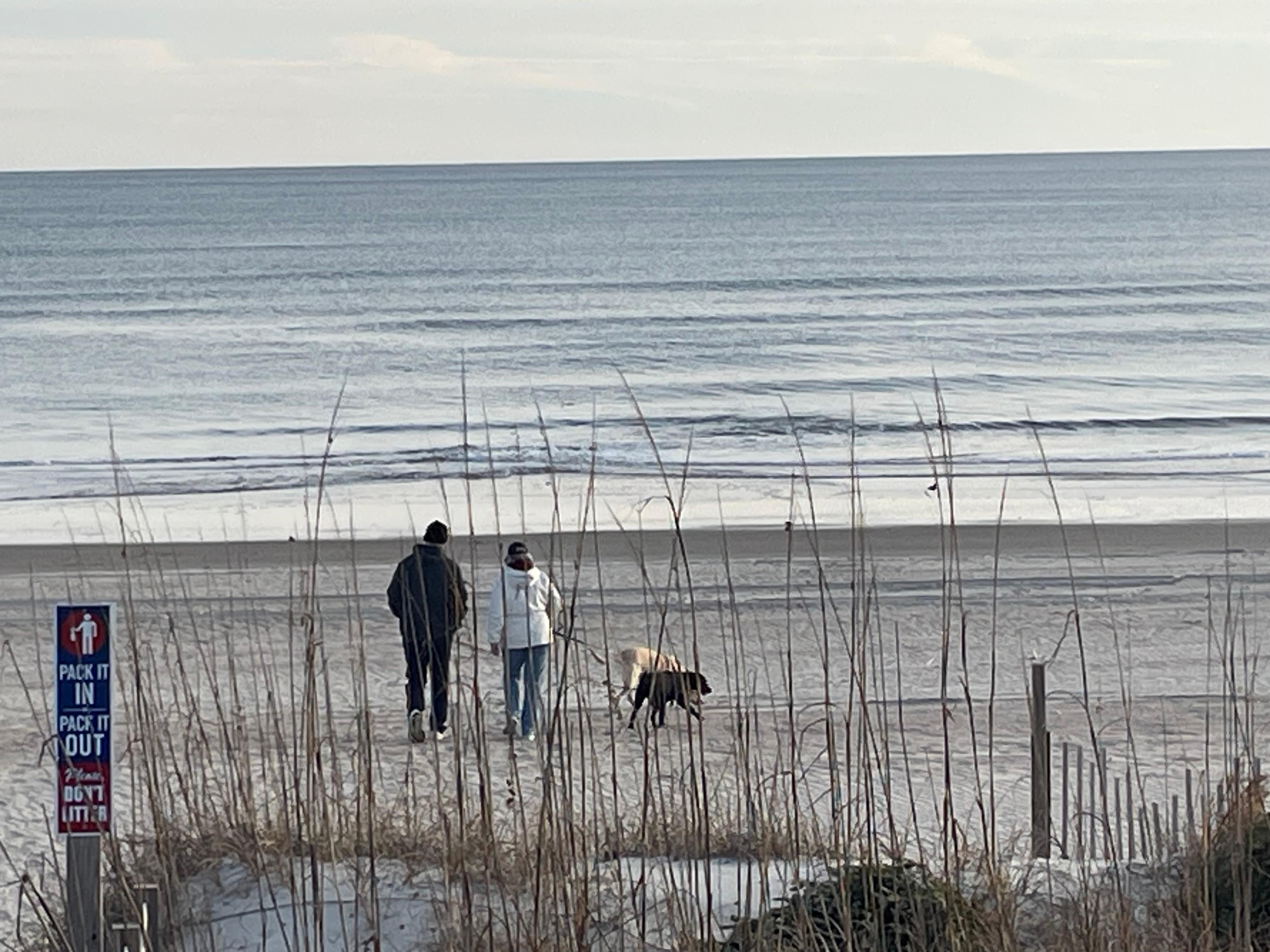 Soaking up the peace and beauty of the winter beach