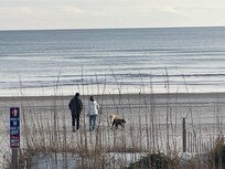 Soaking up the peace and beauty of the winter beach