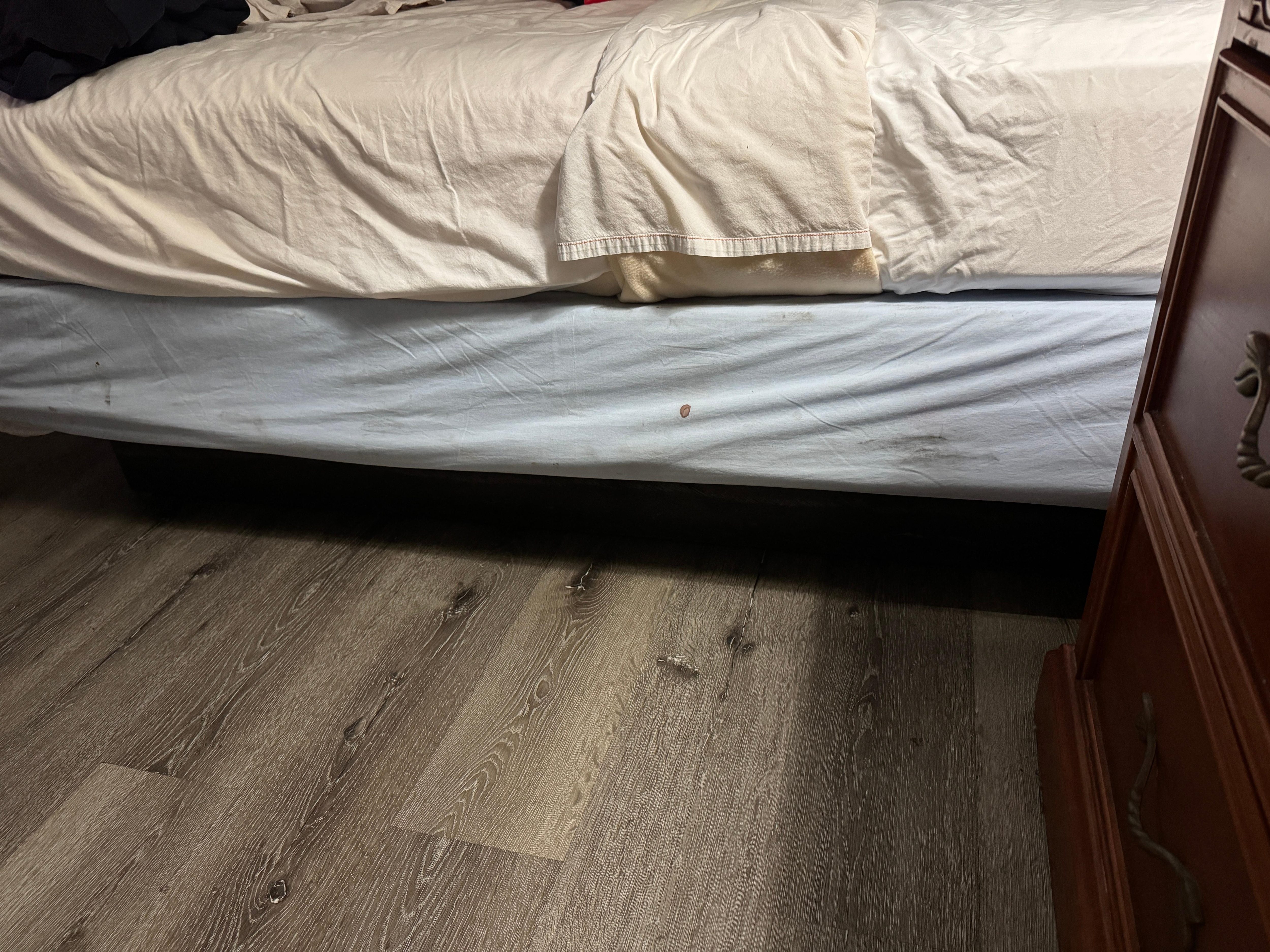 Blood stains on box spring cover. 