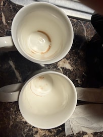 “Clean” dishes in shelf upon arrival. Reported dishwasher smelling like spoiled milk and didn’t work