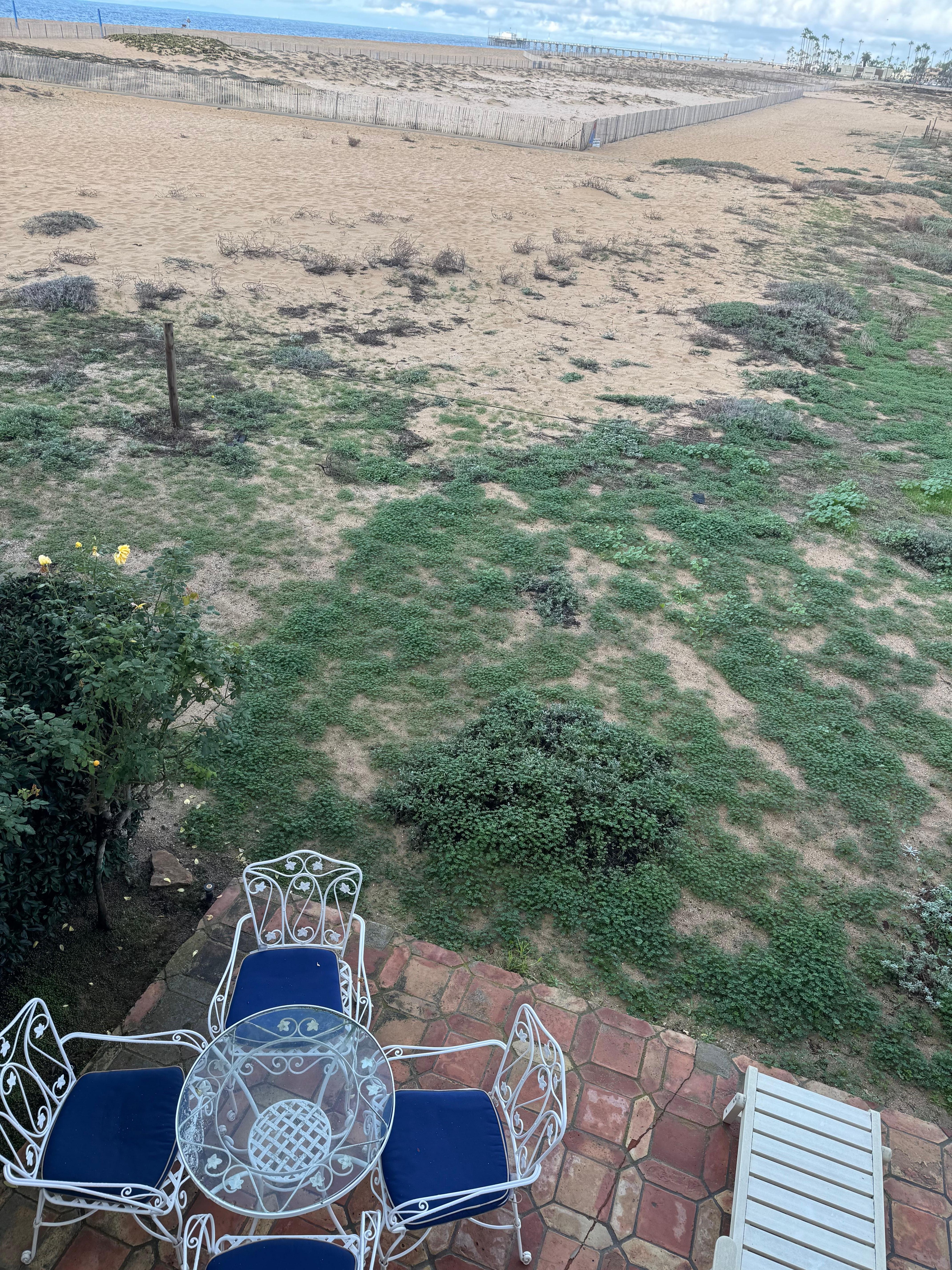 Patio to beach! One step! 