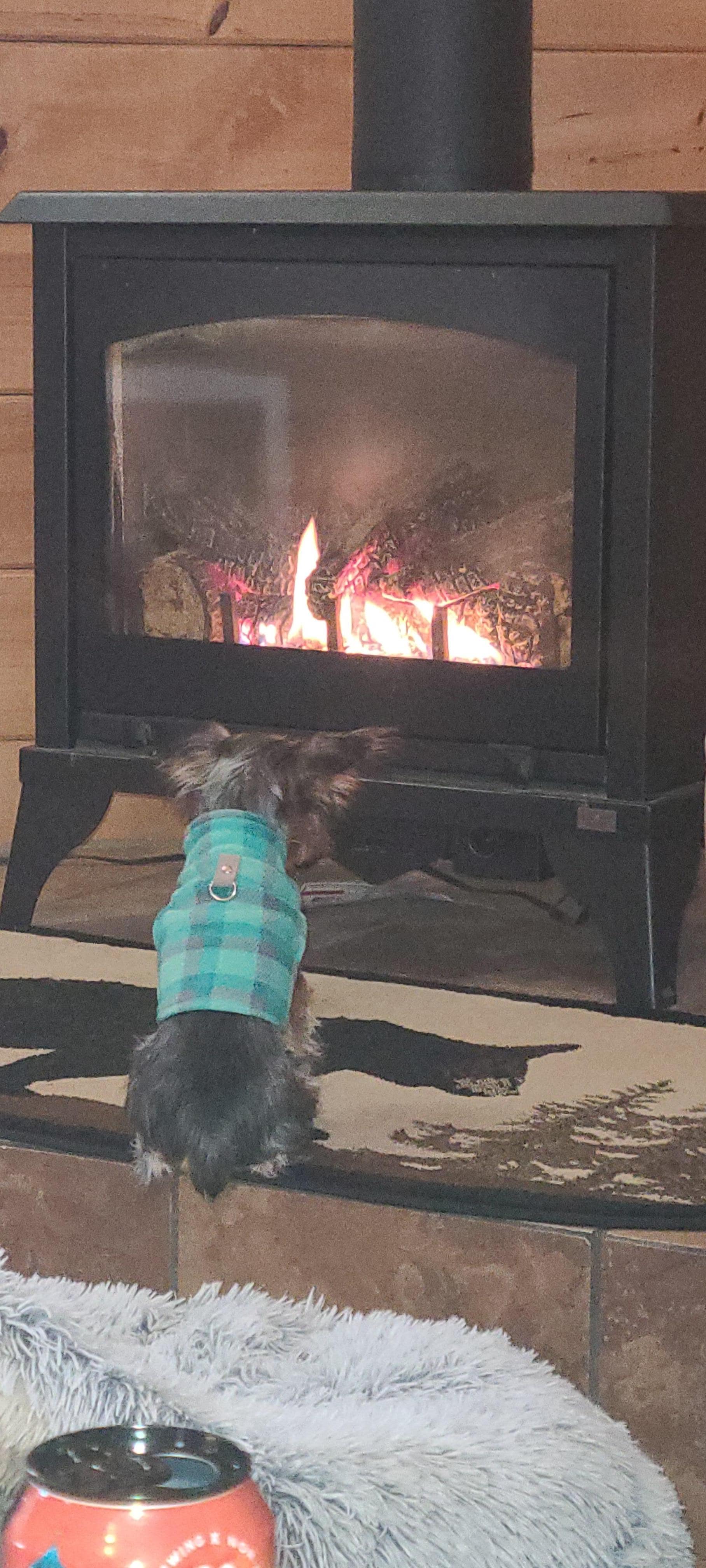 Memorized by the fireplace.