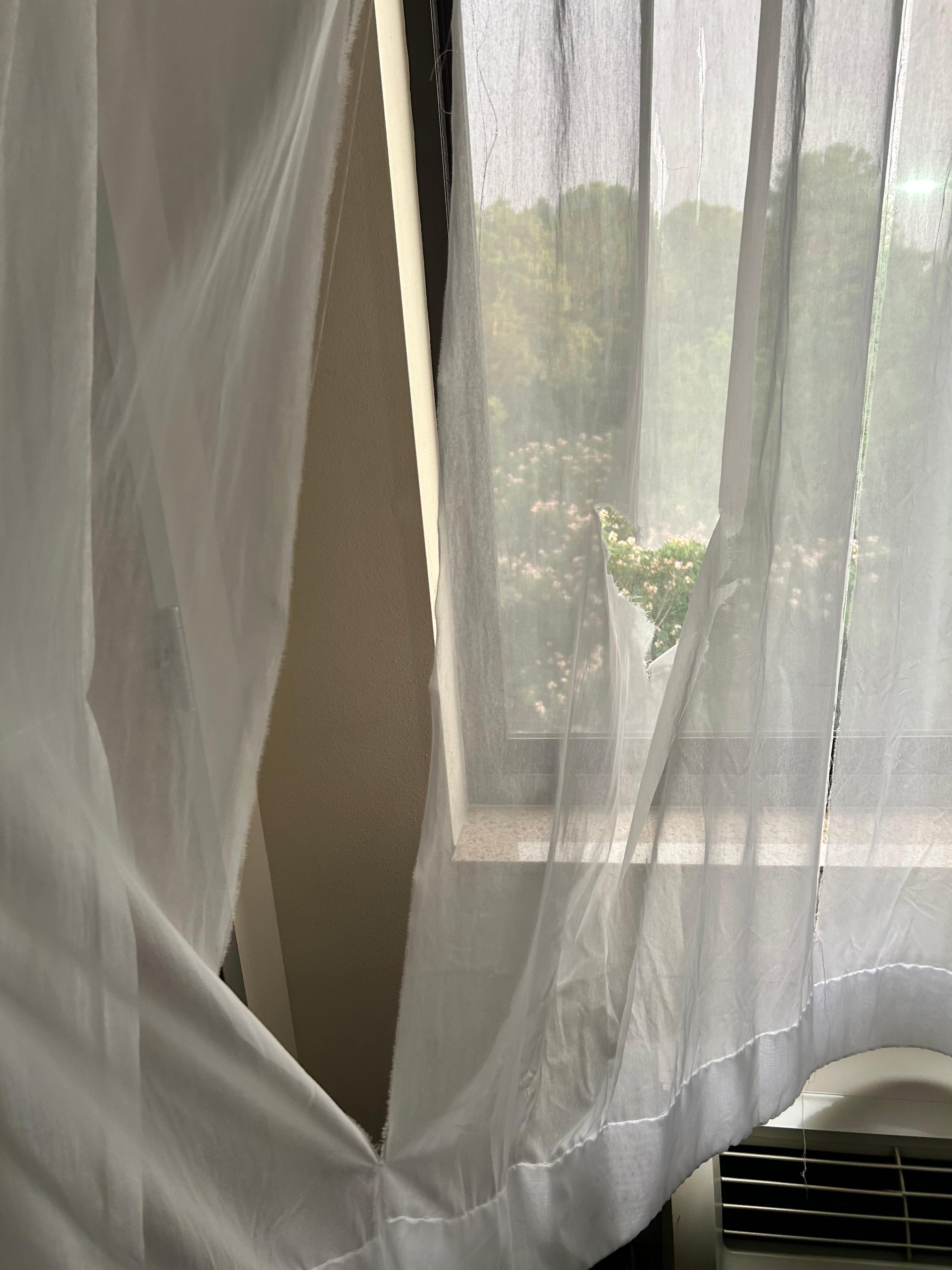 Curtains tore