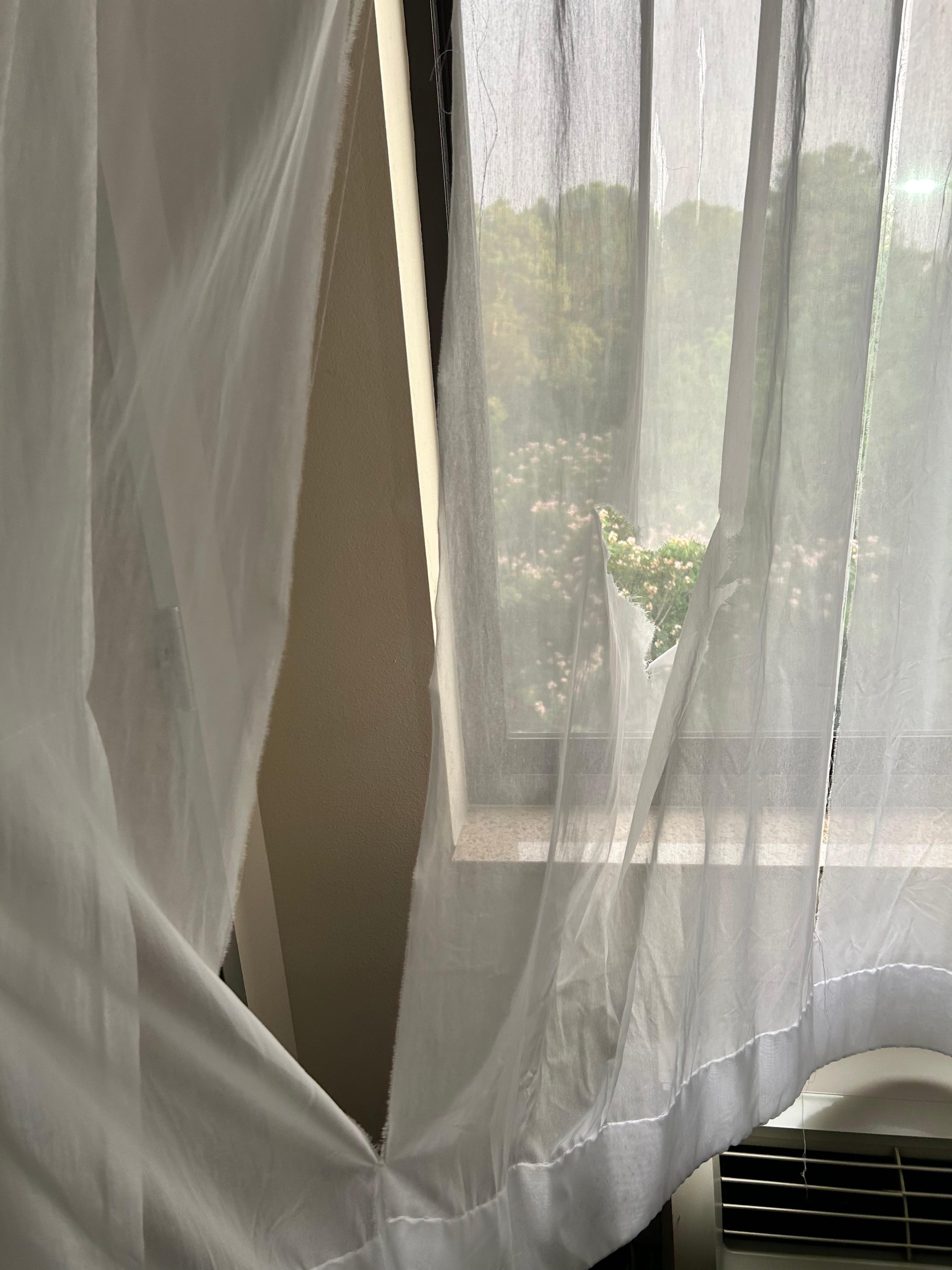 Curtains tore