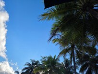 Beautiful one day. Perfect the next.