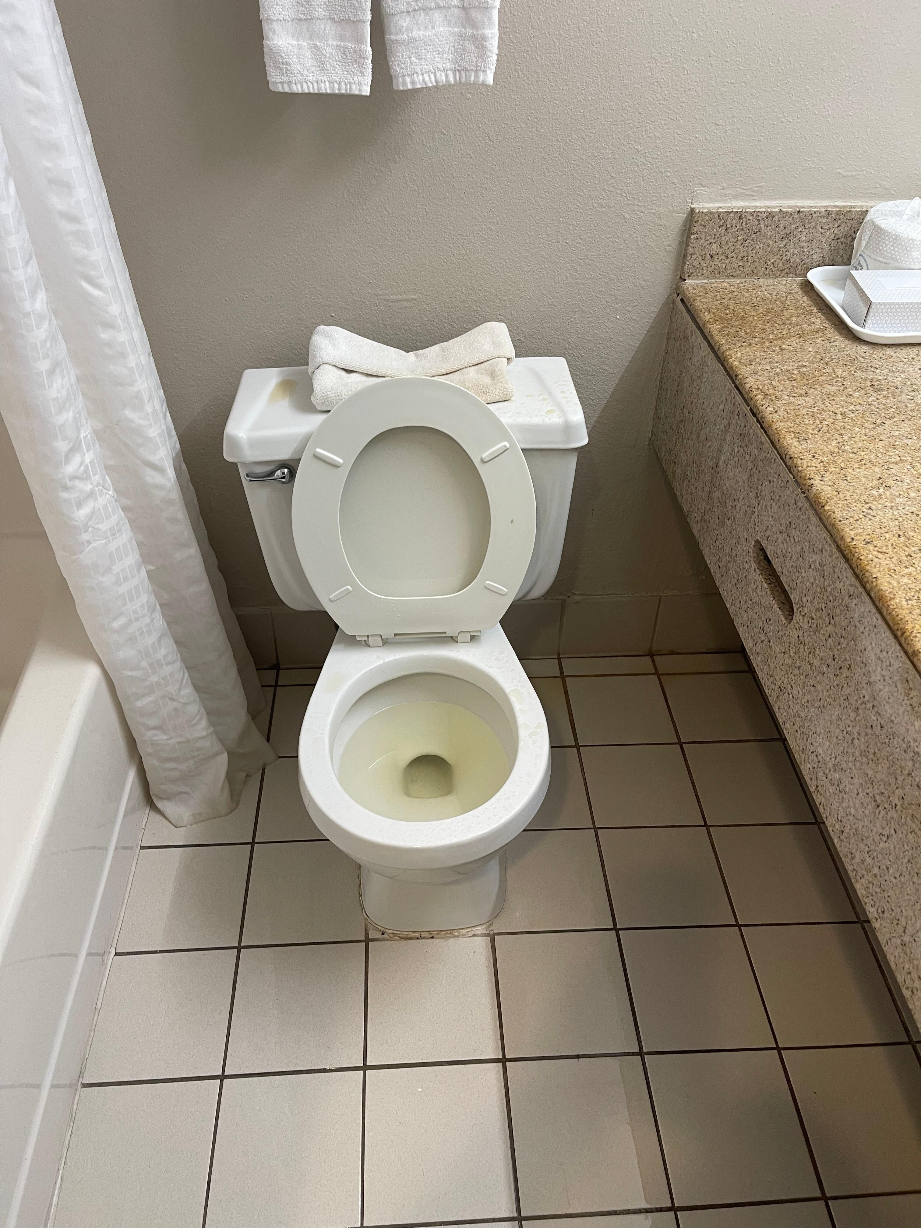 Toilet flooded and water all over the floor