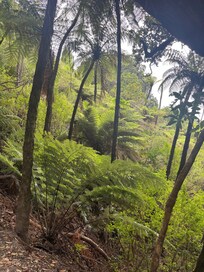 Great hikes