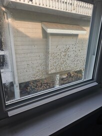 House has not seen a proper cleaning