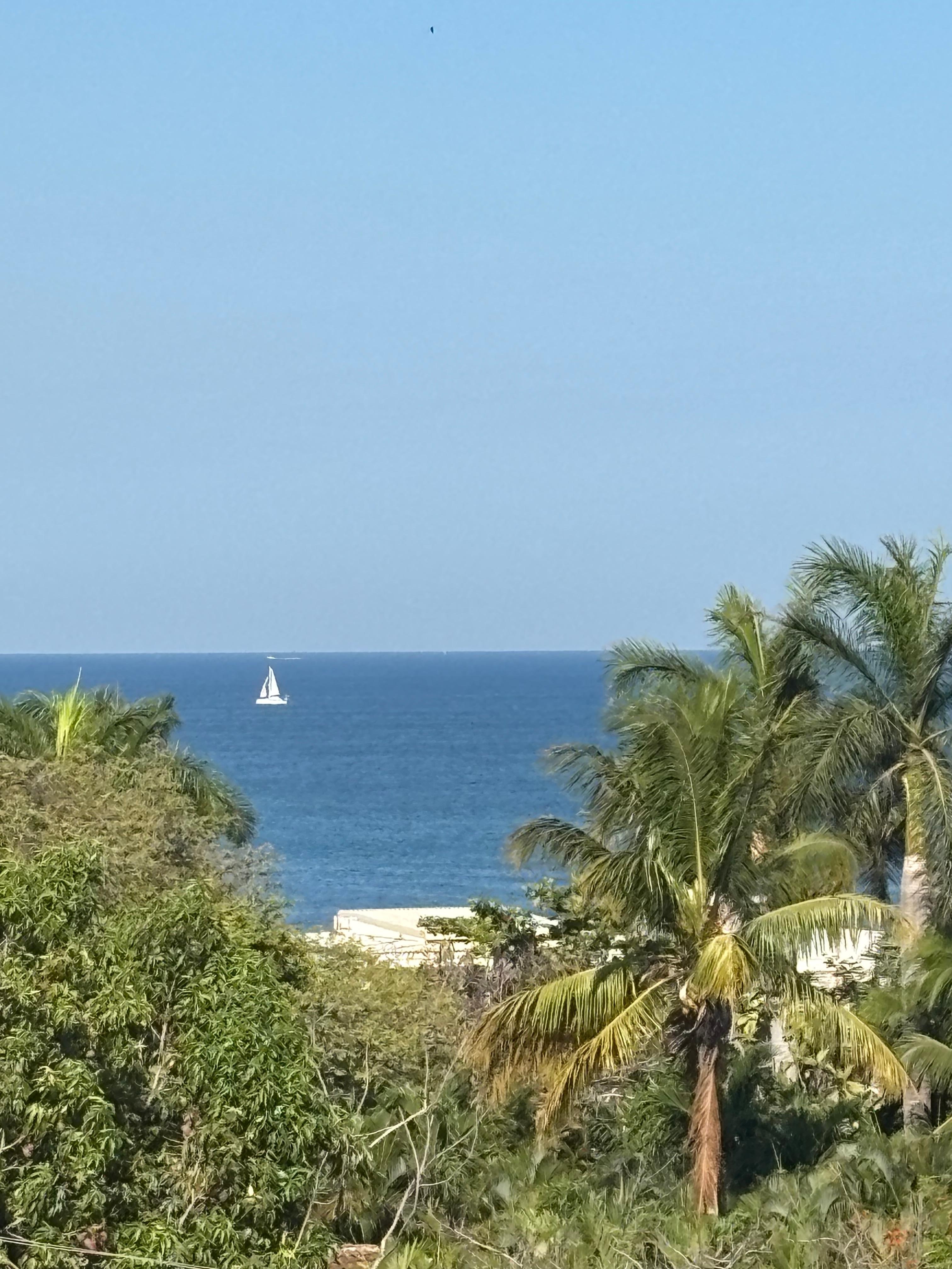View of Playa Langosta from our balcony