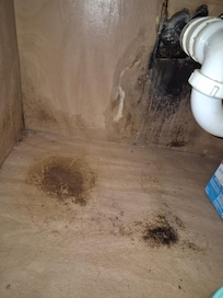 Asked office about the mold and dripping pipes I was told to tell maintenance when I see him. Maintenance man took our icebucket and put it under dripping pipe and left..