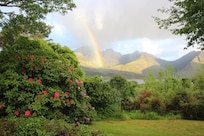 view from front window of the cottage