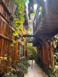 Walking between the buildings