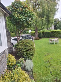 Part of garden