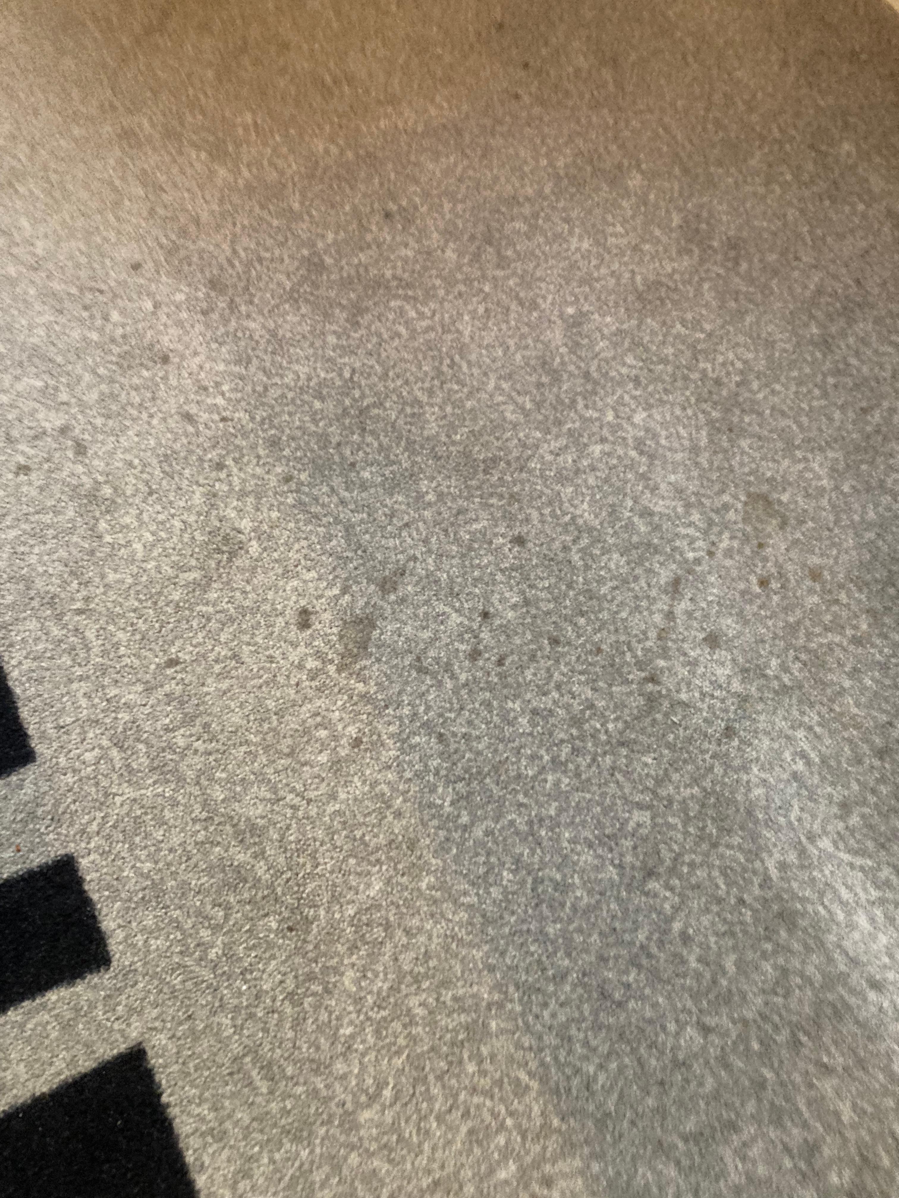 Very stained carpet in our room in Novotel