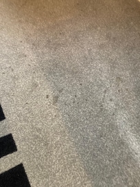 Very stained carpet in our room in Novotel