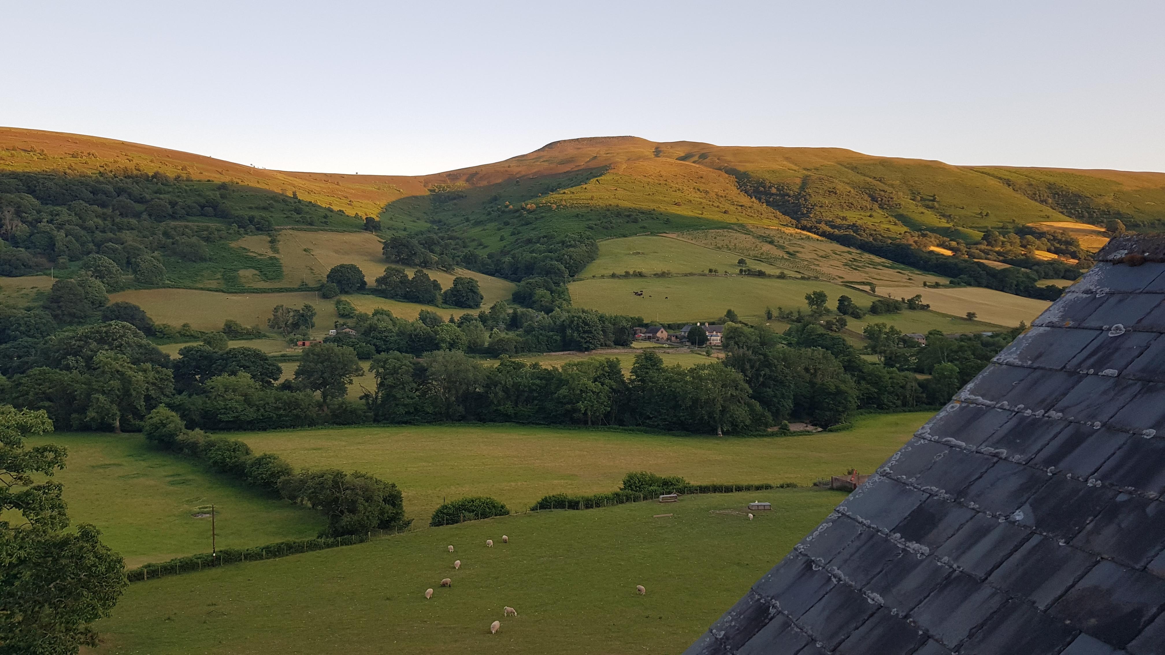 View from room evening.
