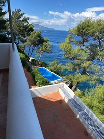 The pool