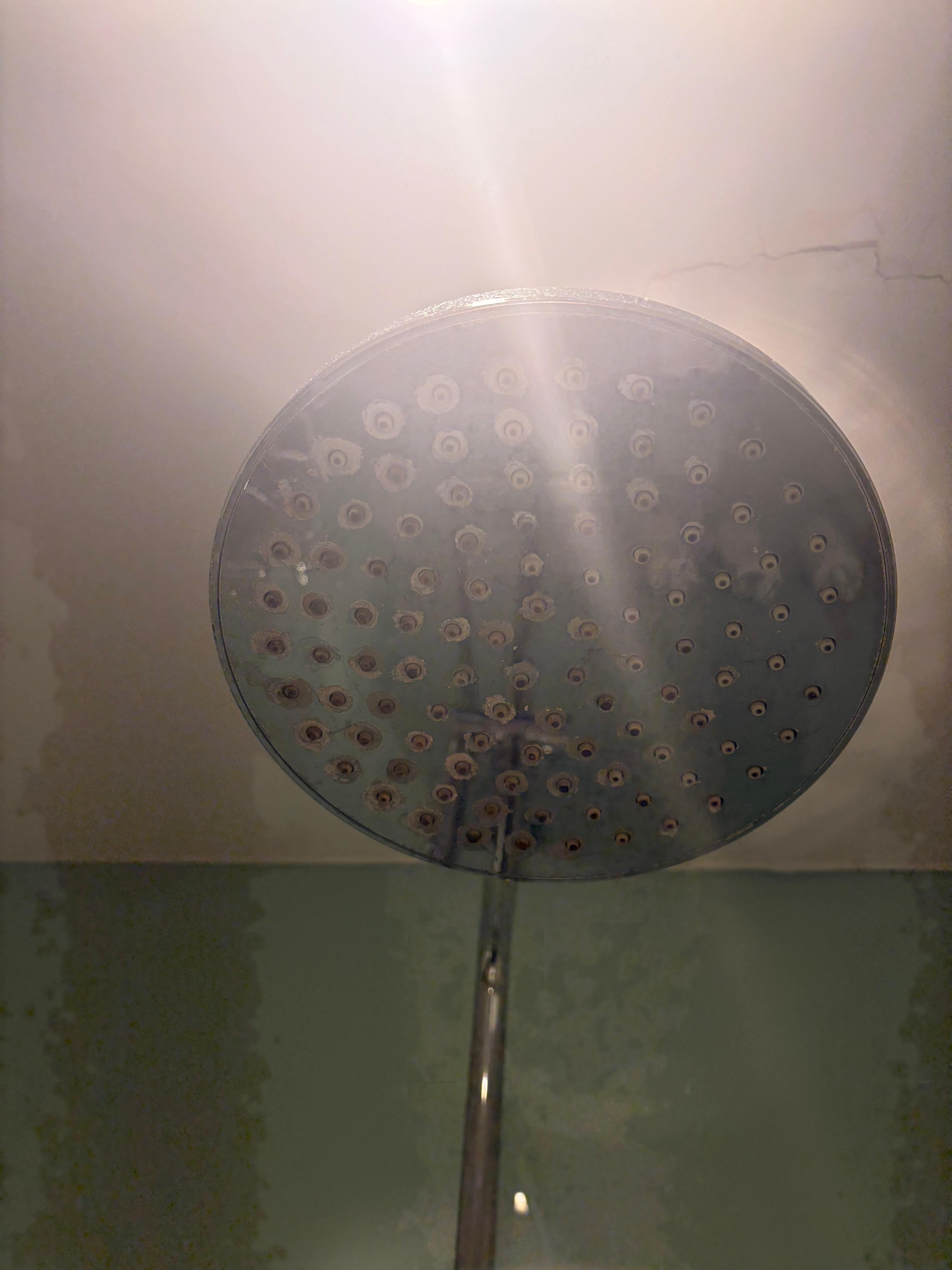 Filthy showerhead