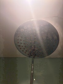 Filthy showerhead