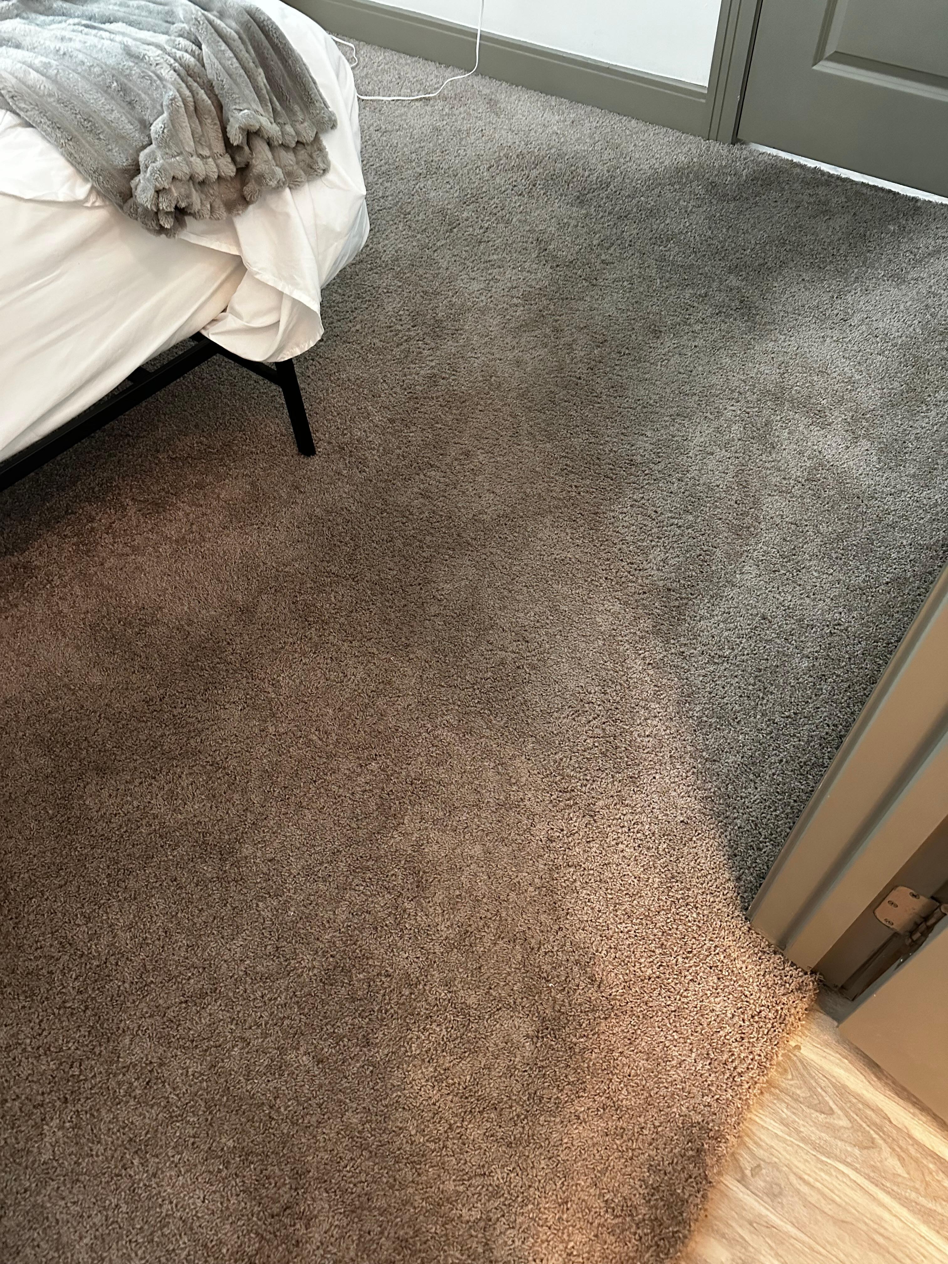 Dirty carpet 