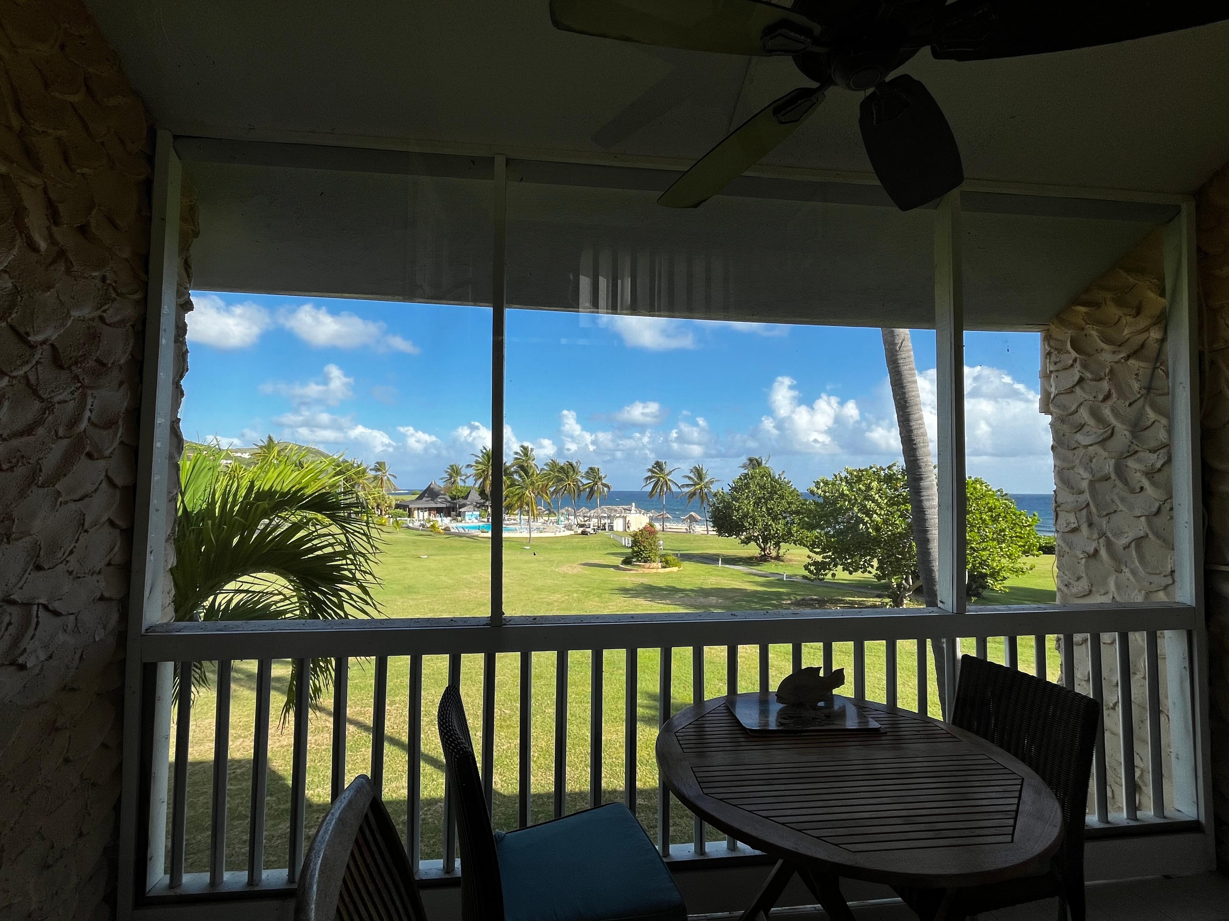 View from Living Room