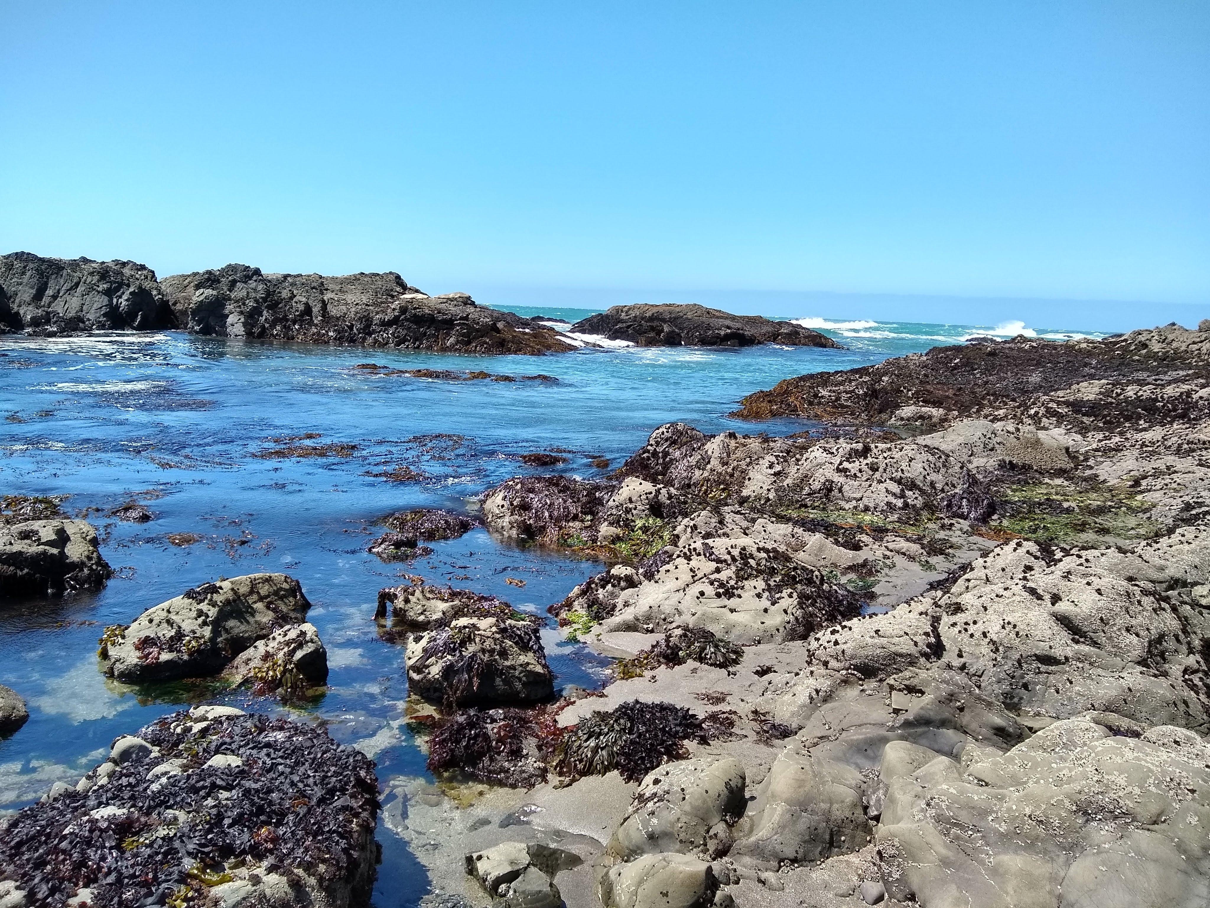 Photo taken on the path along the bluff right outside the back porch. 