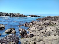 Photo taken on the path along the bluff right outside the back porch.