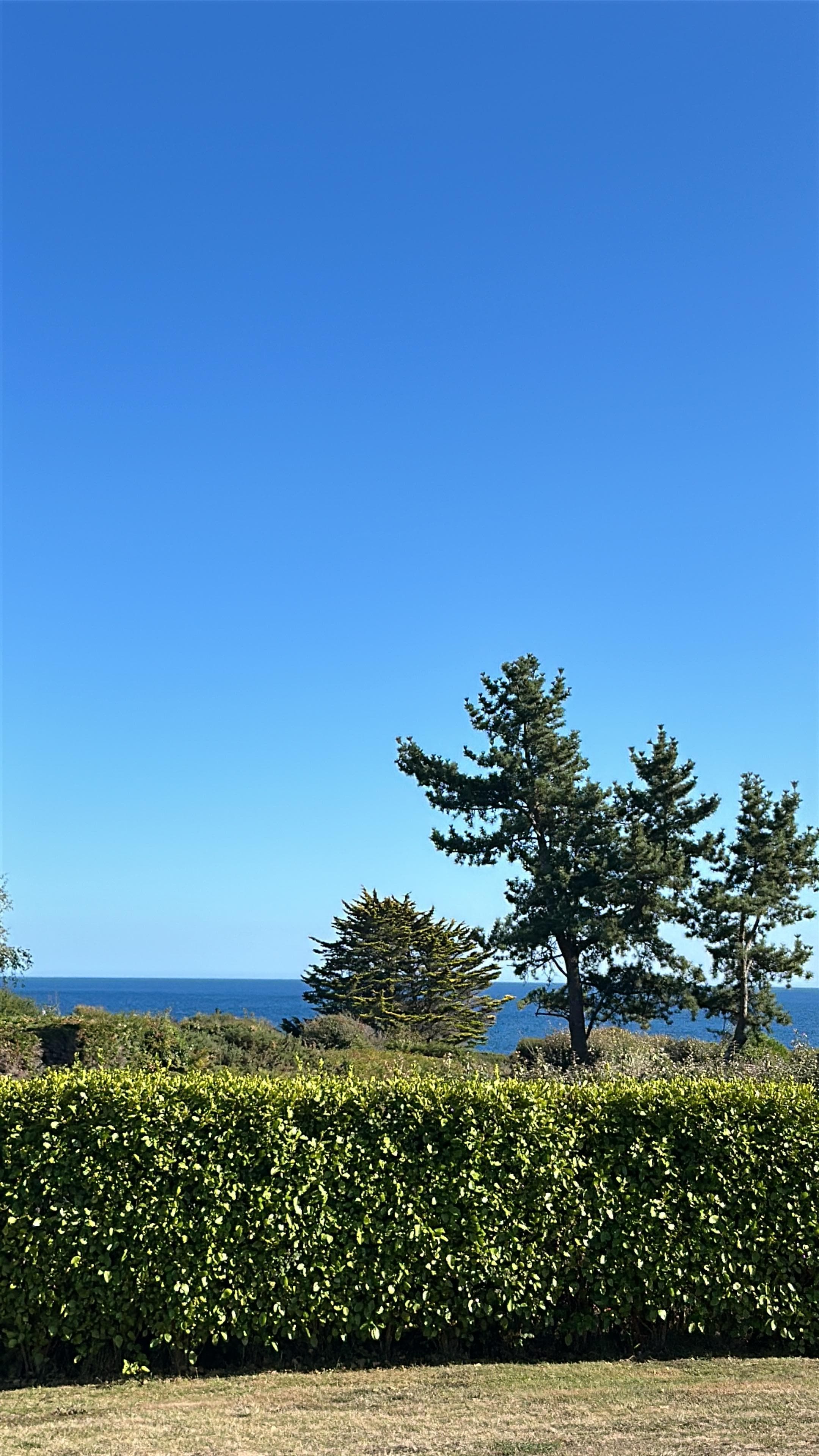 Blick von der Terrasse 