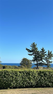 Blick von der Terrasse