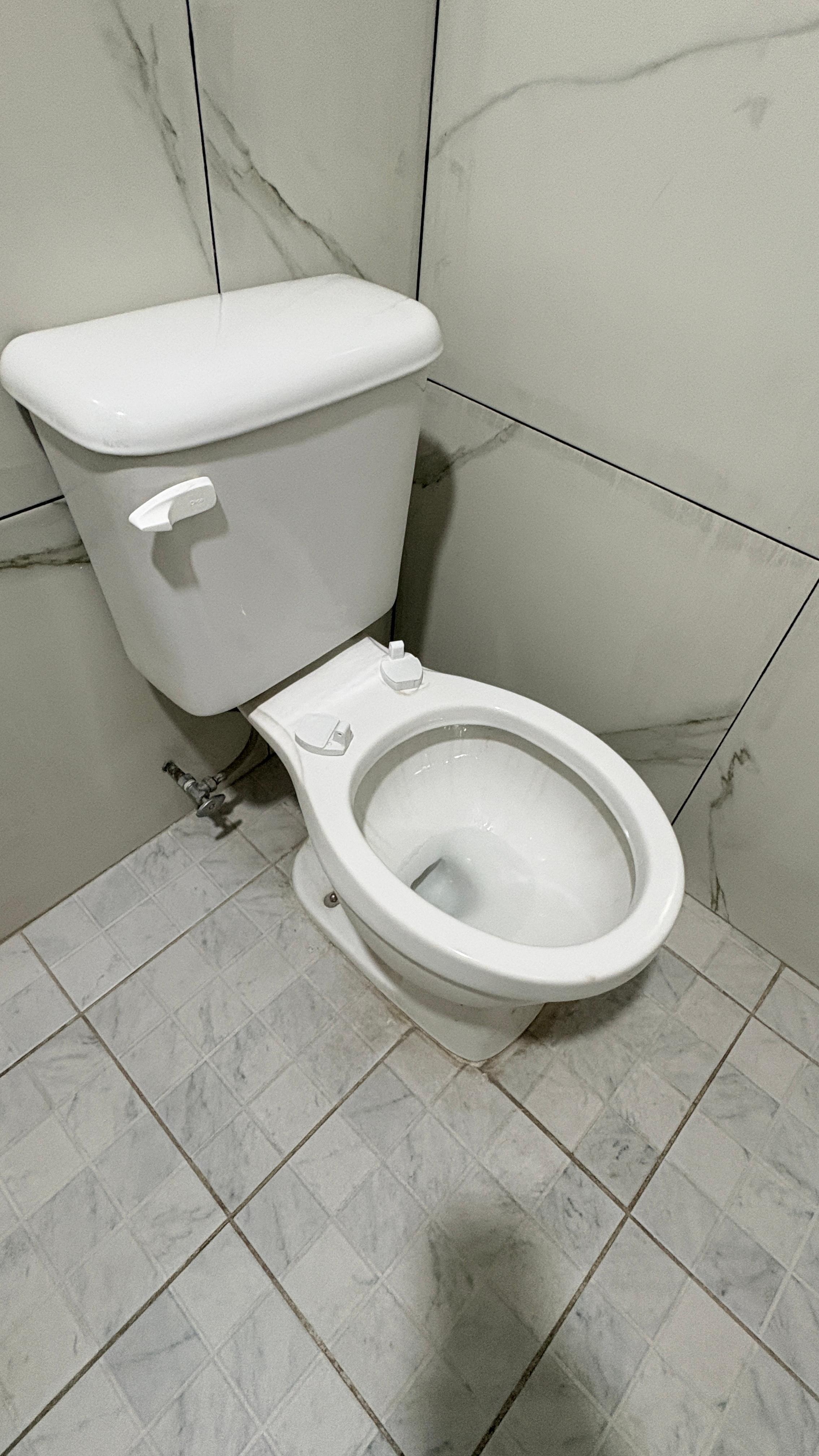 Taza sin asiento, eso cuesta 300 pesos.