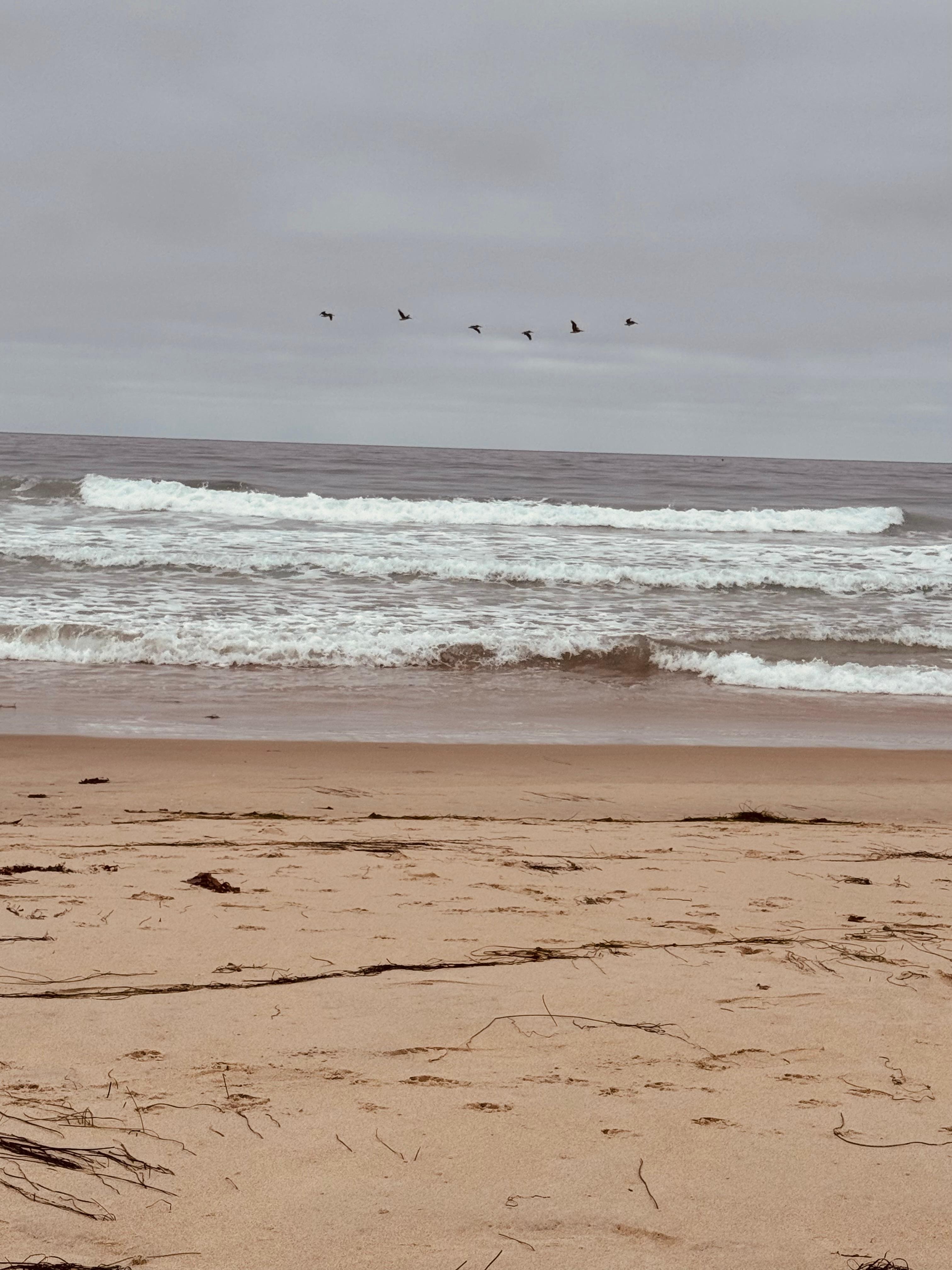 Had relaxing beach days