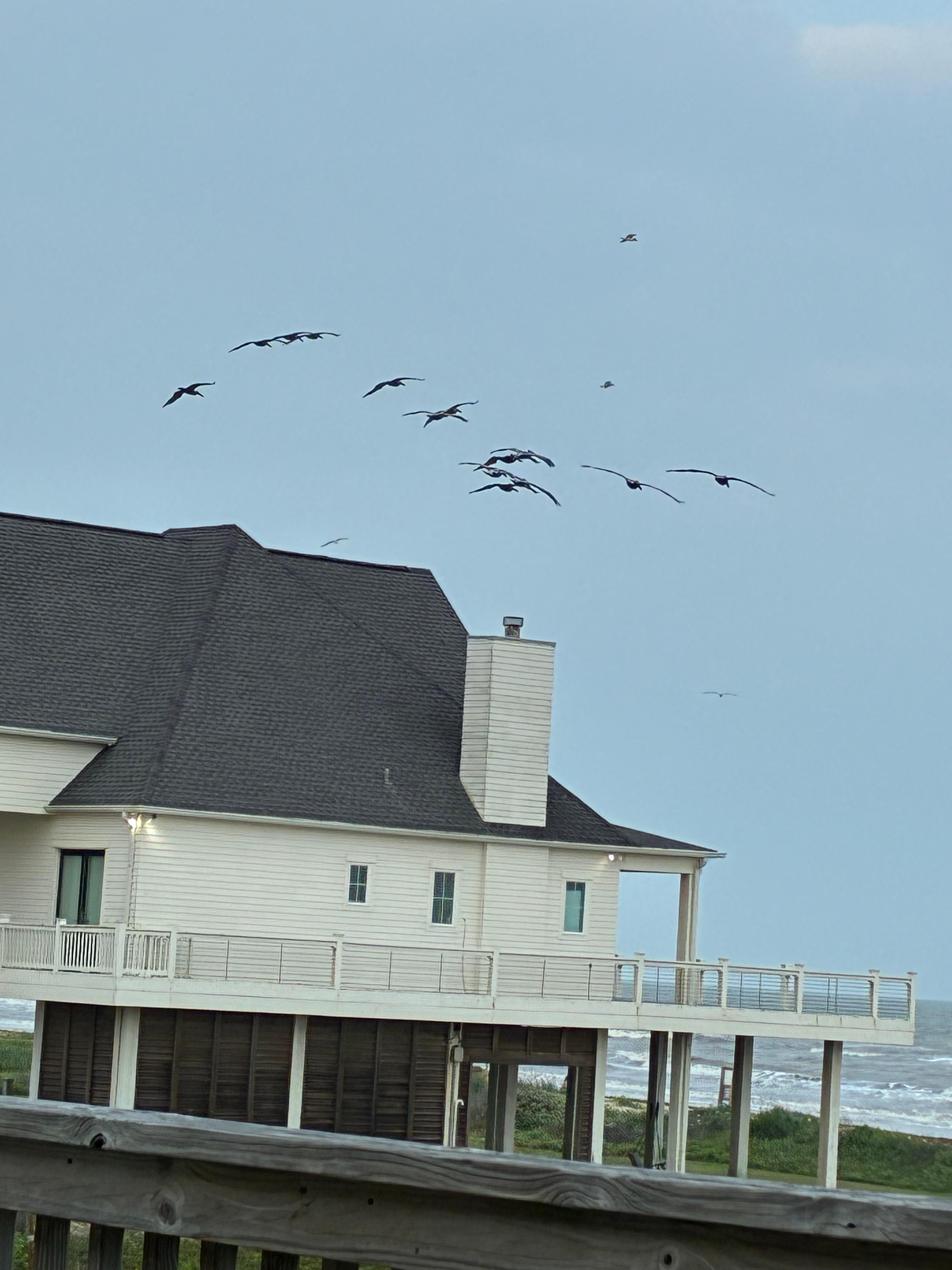 Great for bird watching or feeding 