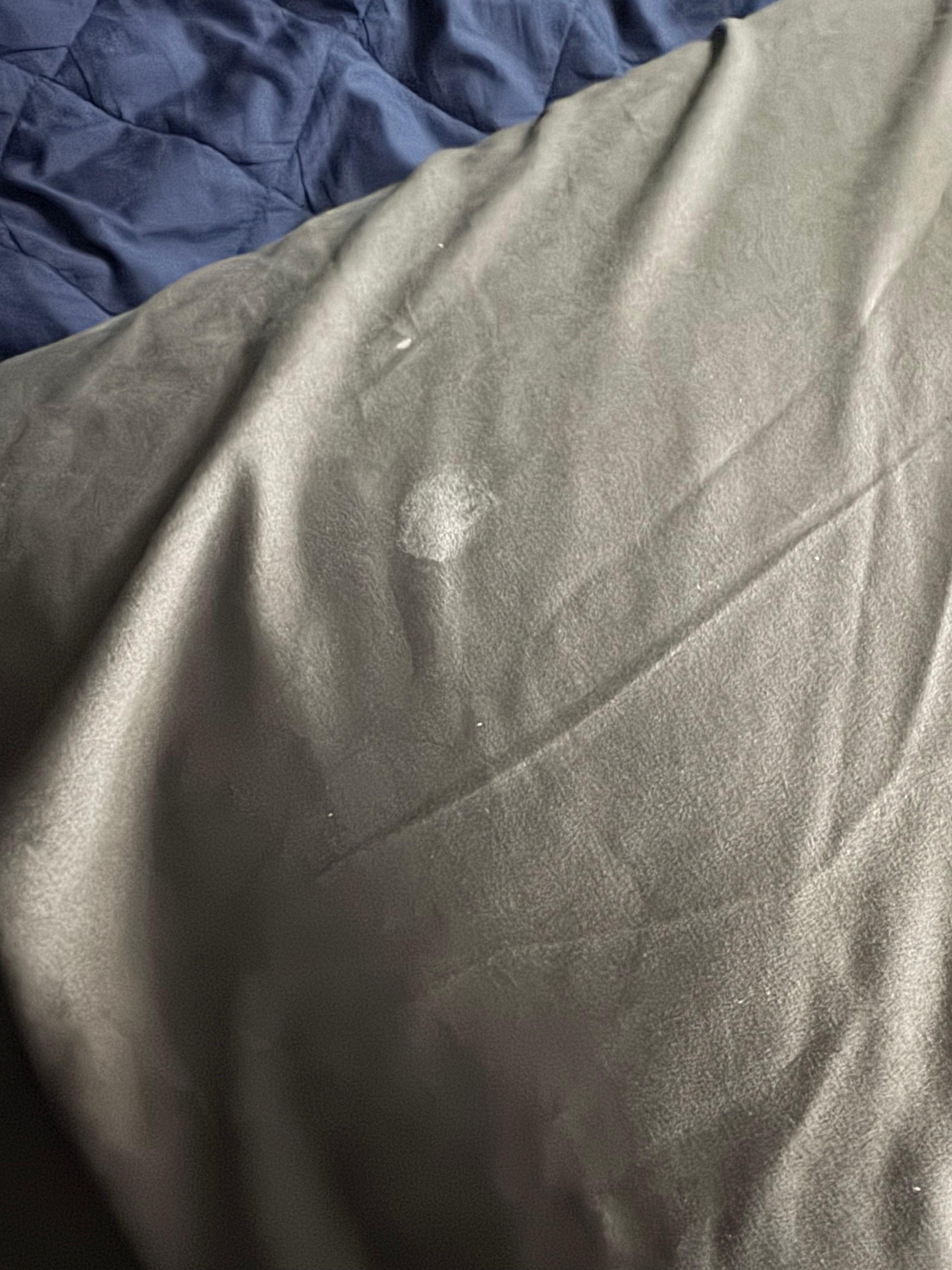 Soiled linens covered in cat hair and dirt. Multiple family members allergic. 
