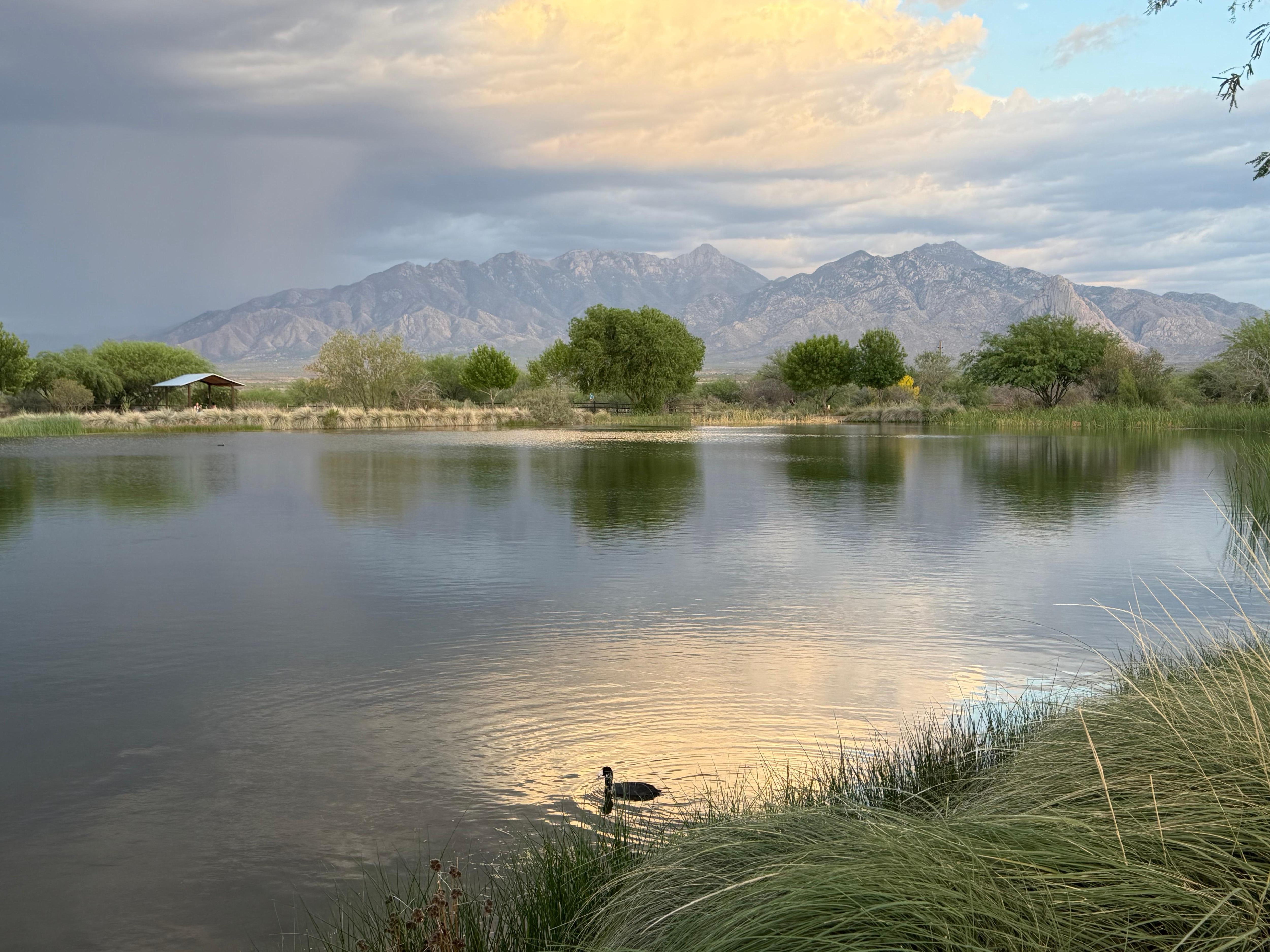 The pond at Historic Canoa Ranch. We went there to capture a sunset; instead we watched a storm passing through over the Santa Rita mountains. 