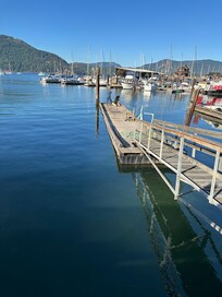 Cowibbean Cottage dock high tide.