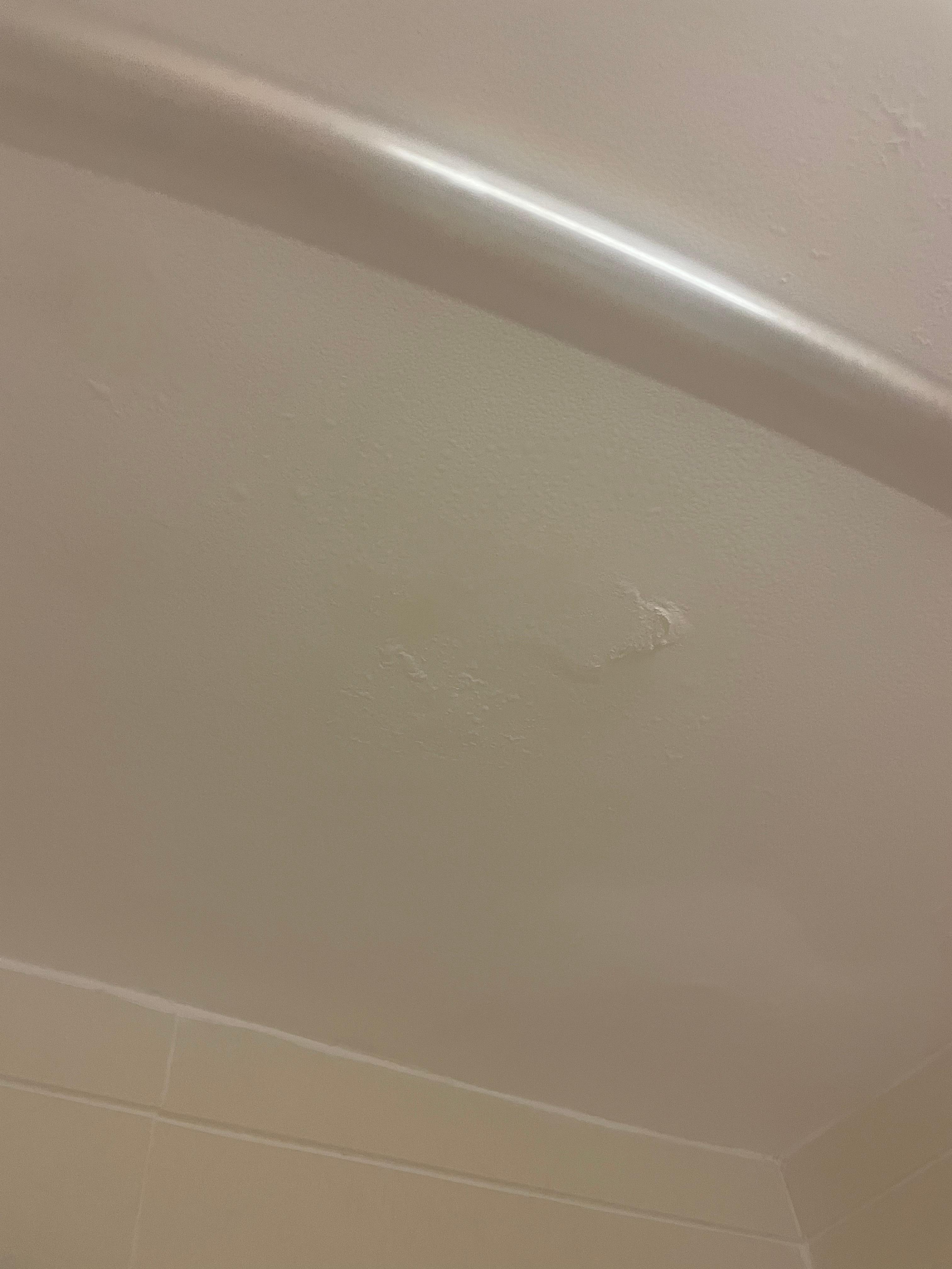 Damaged ceiling