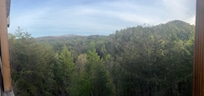 View from the deck!