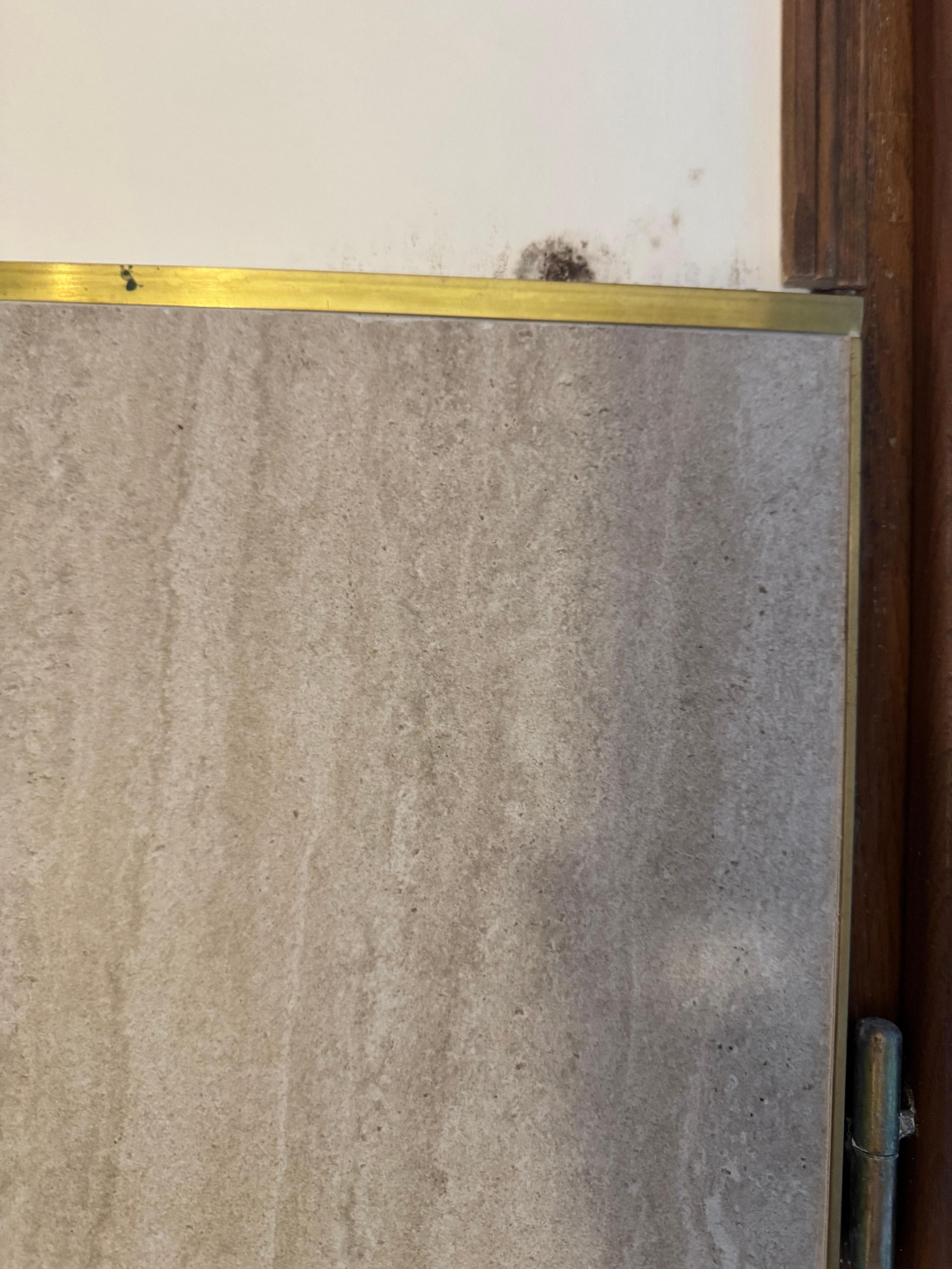 Mold in the bathroom