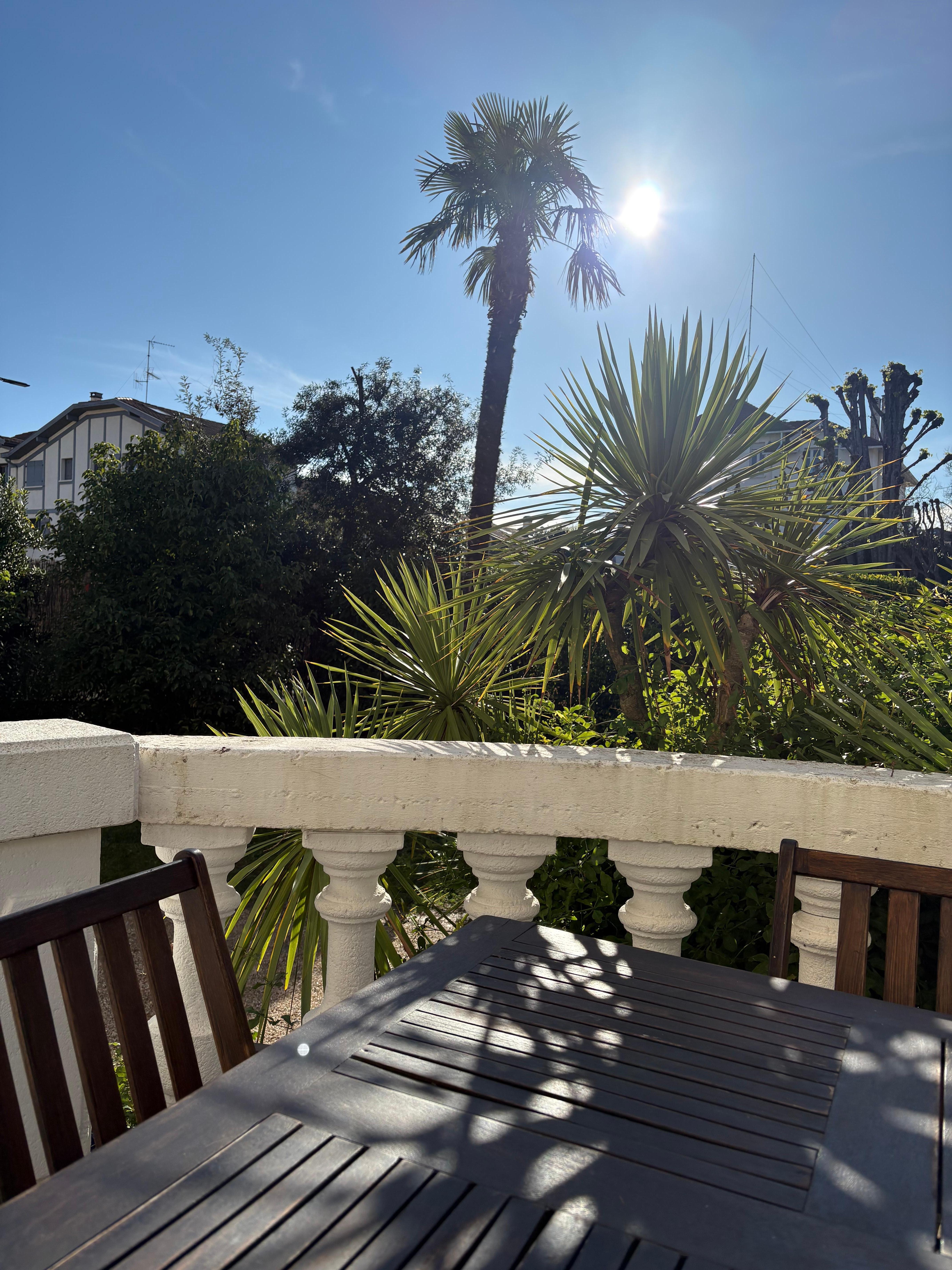 La terrasse très agréable 