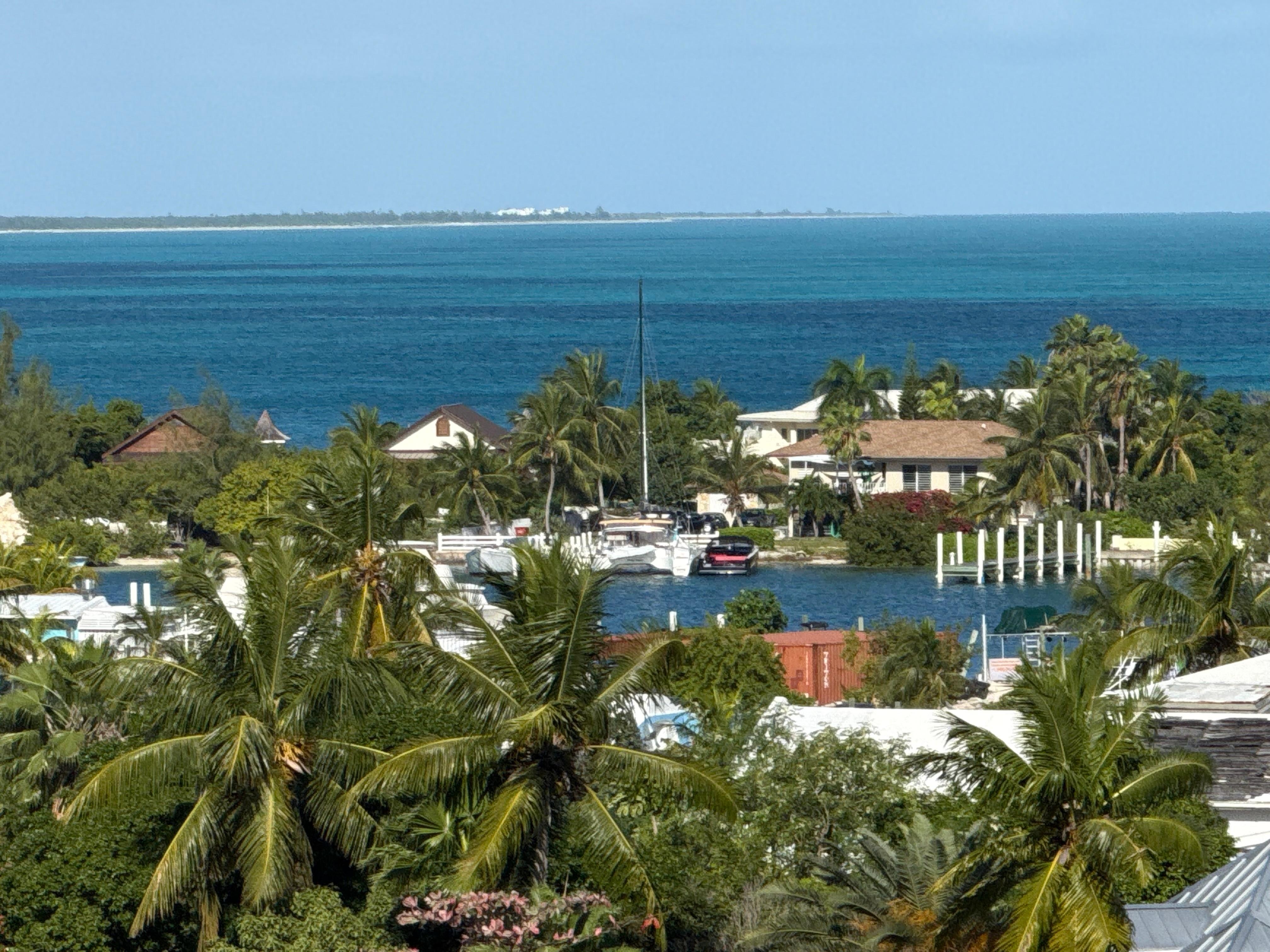 The view of Turtle Cove