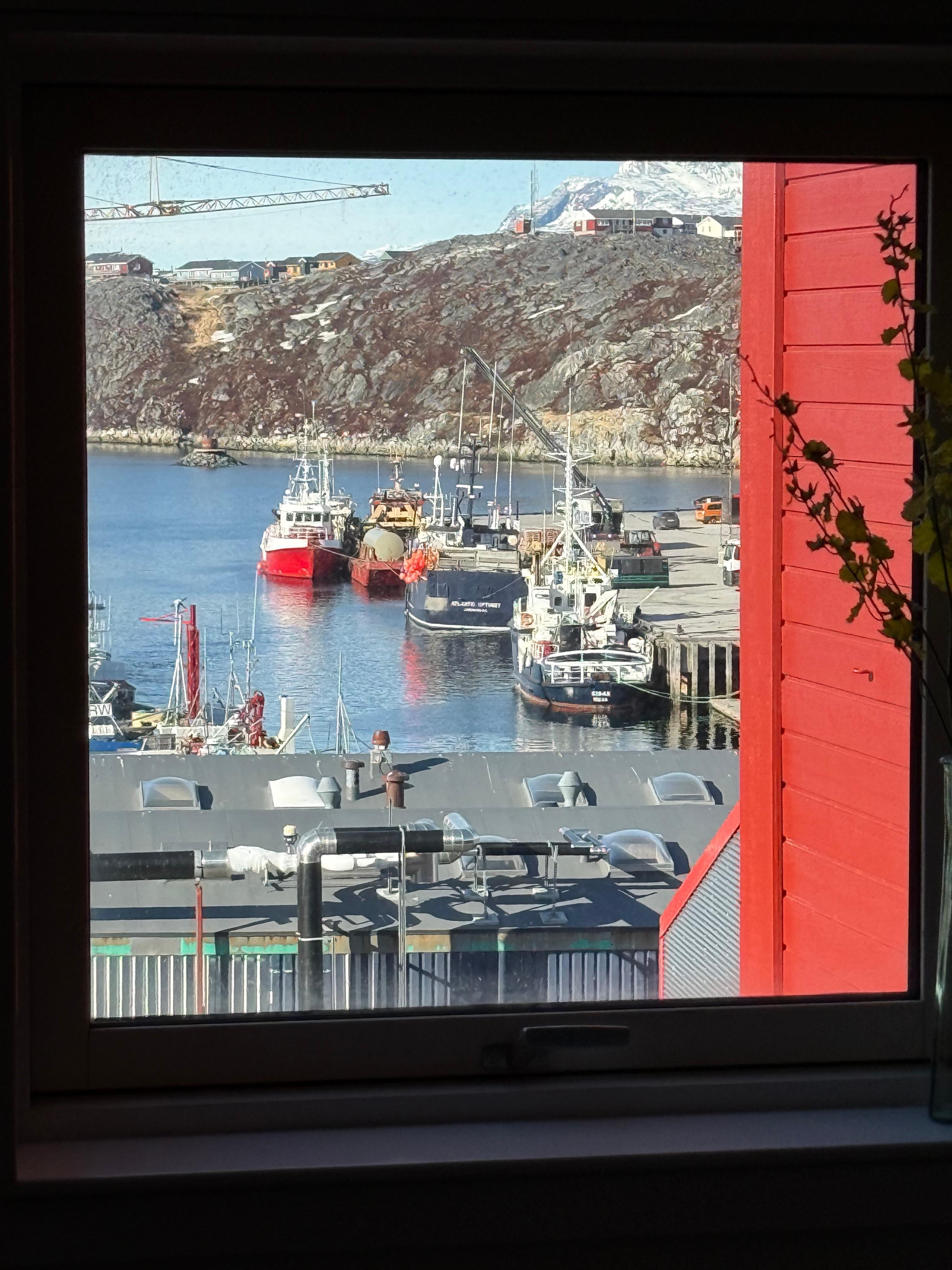 View from hallway window 