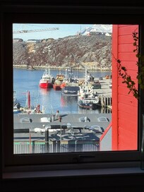 View from hallway window