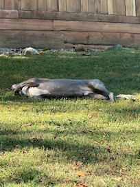 Living his best life