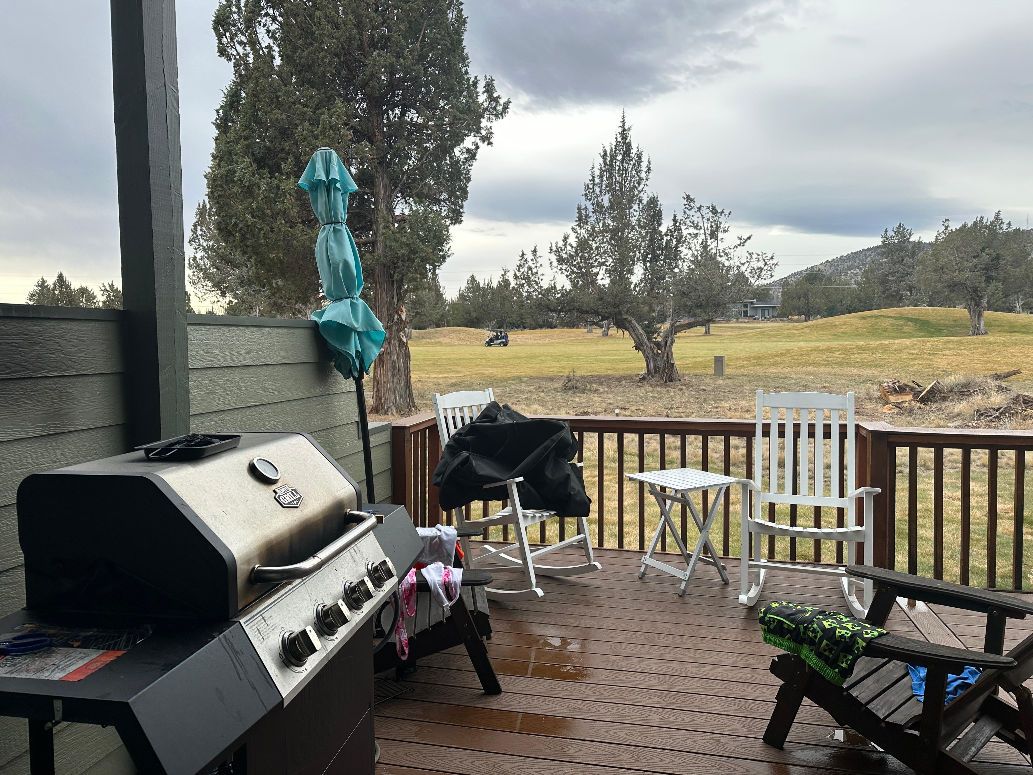 View from backyard BBQ area